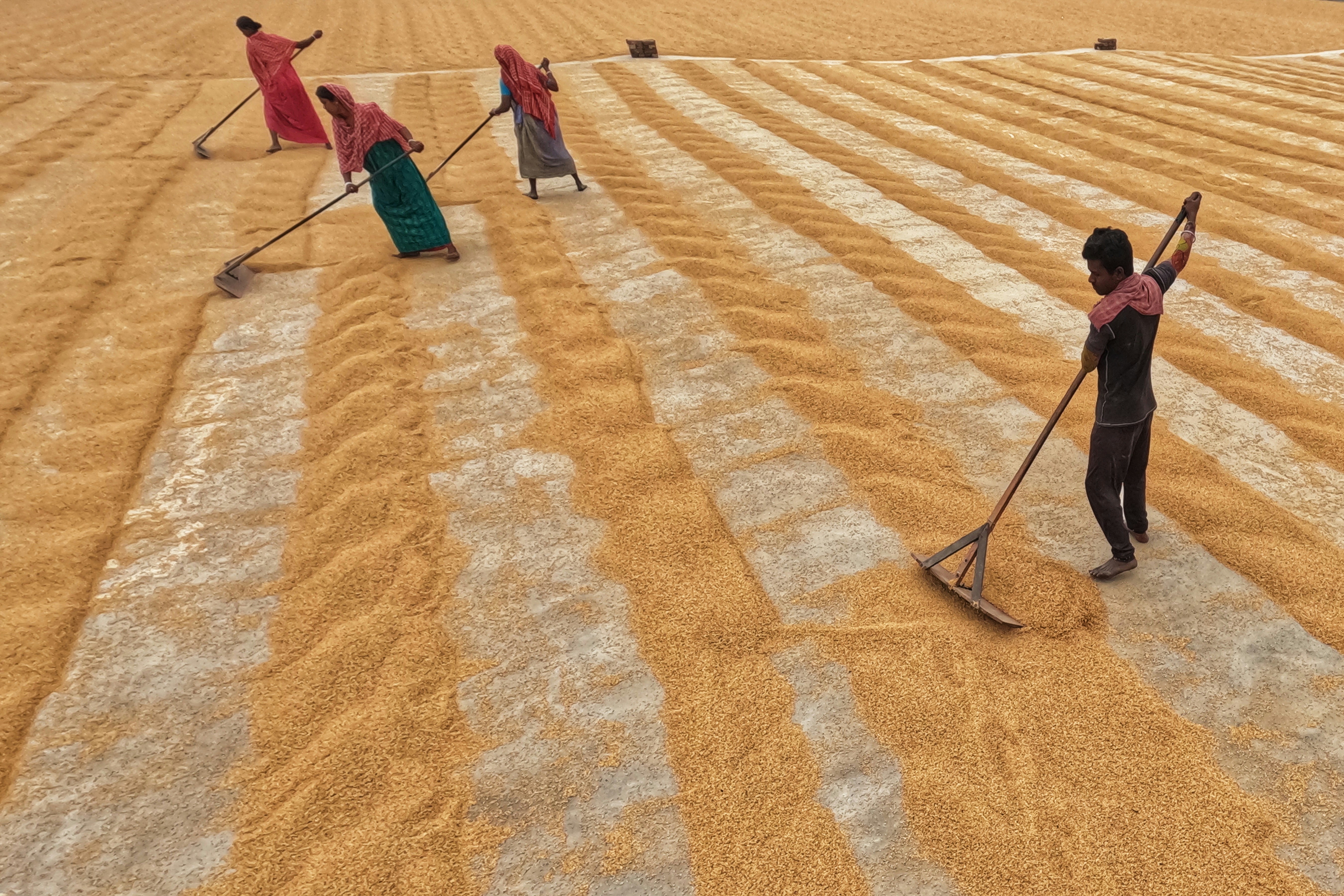 Photo by dibakar16roy