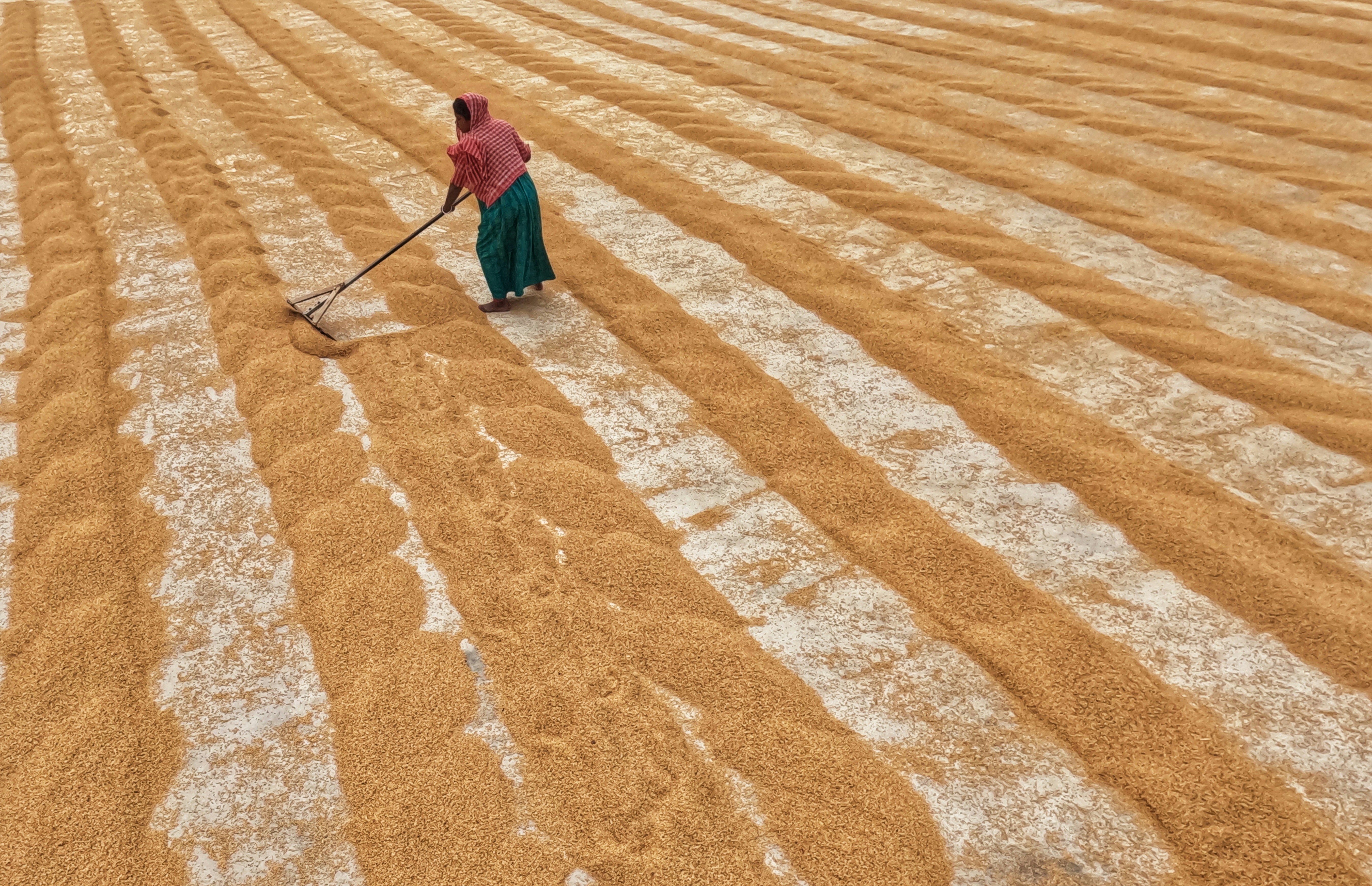 Photo by dibakar16roy