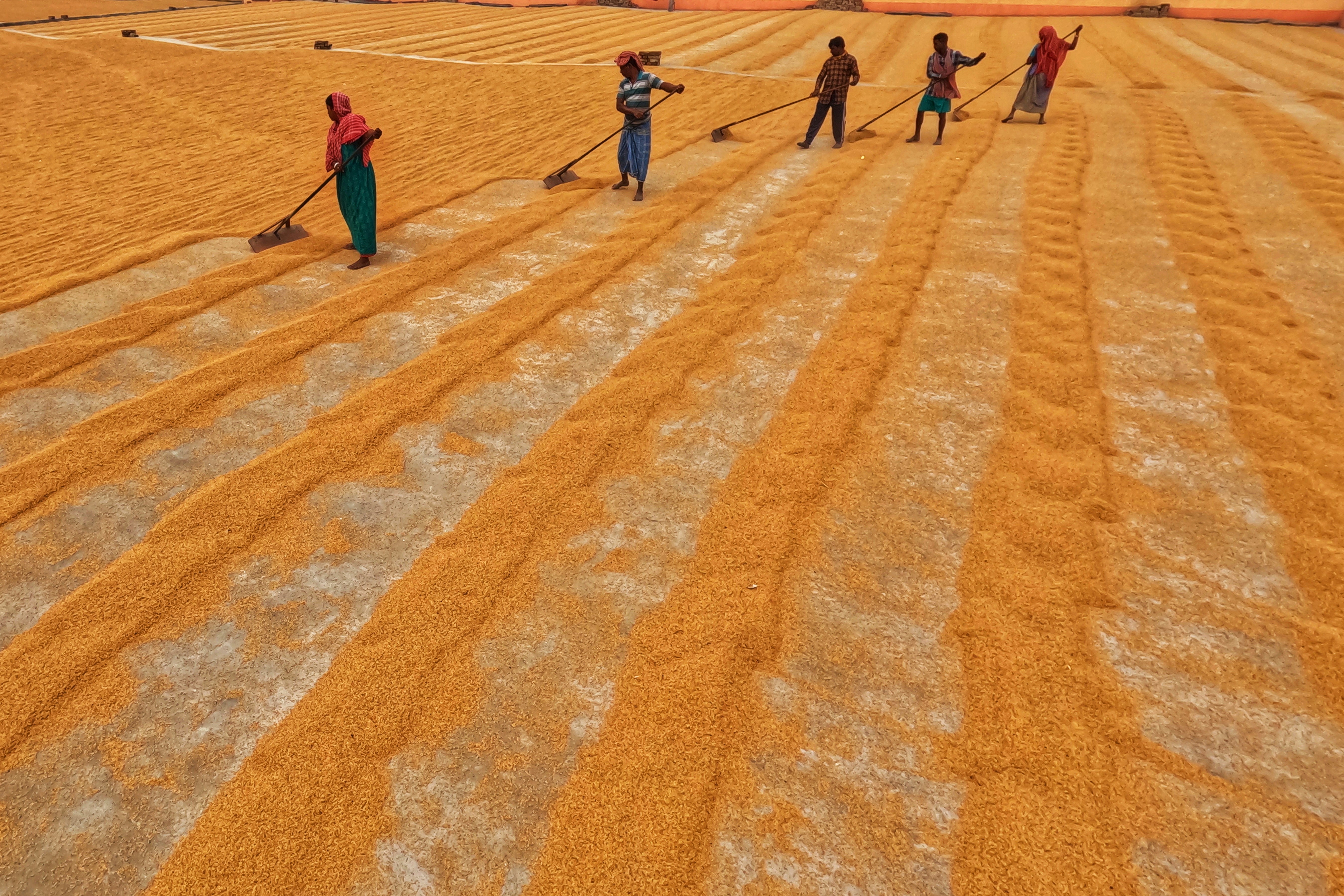 Photo by dibakar16roy