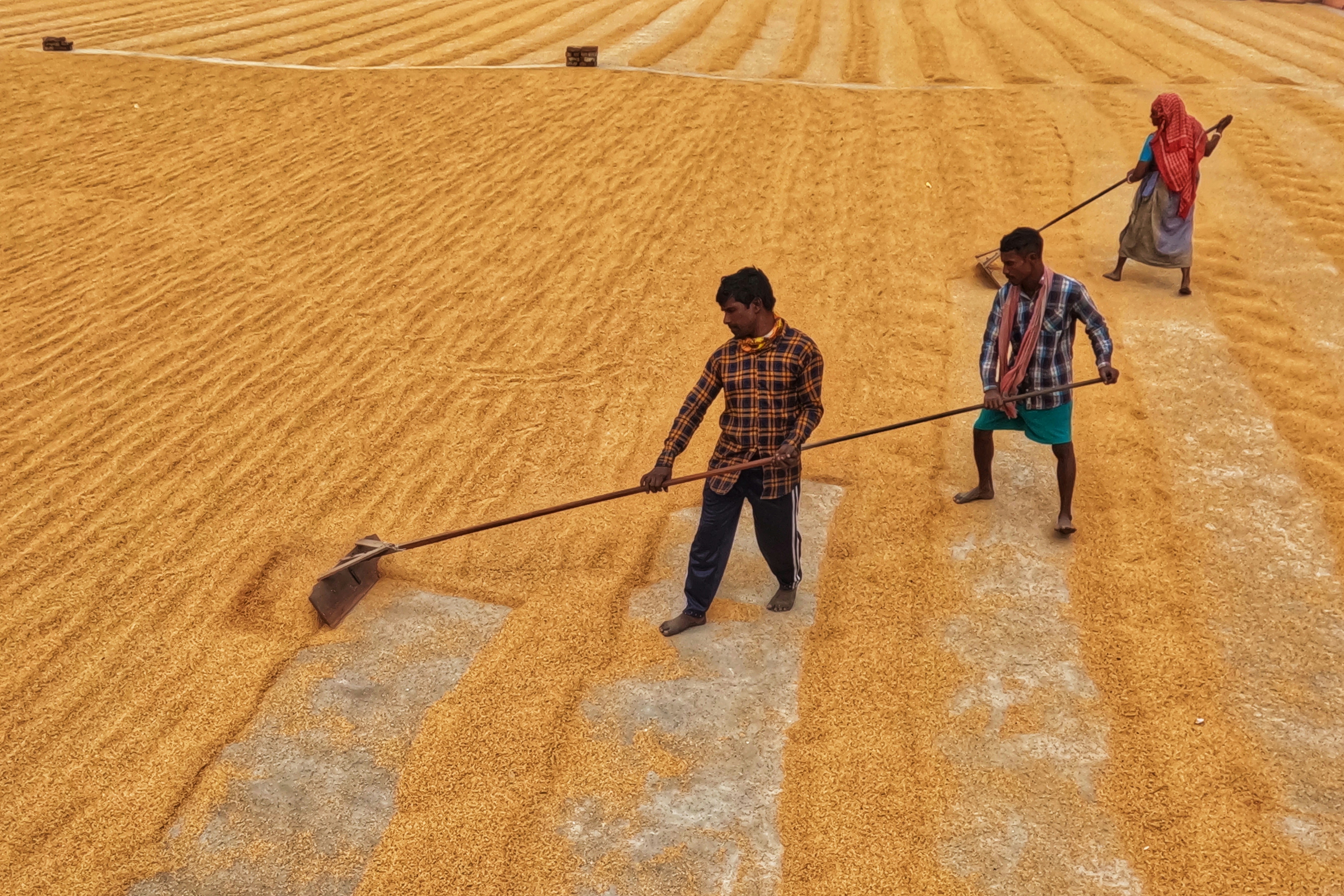 Photo by dibakar16roy