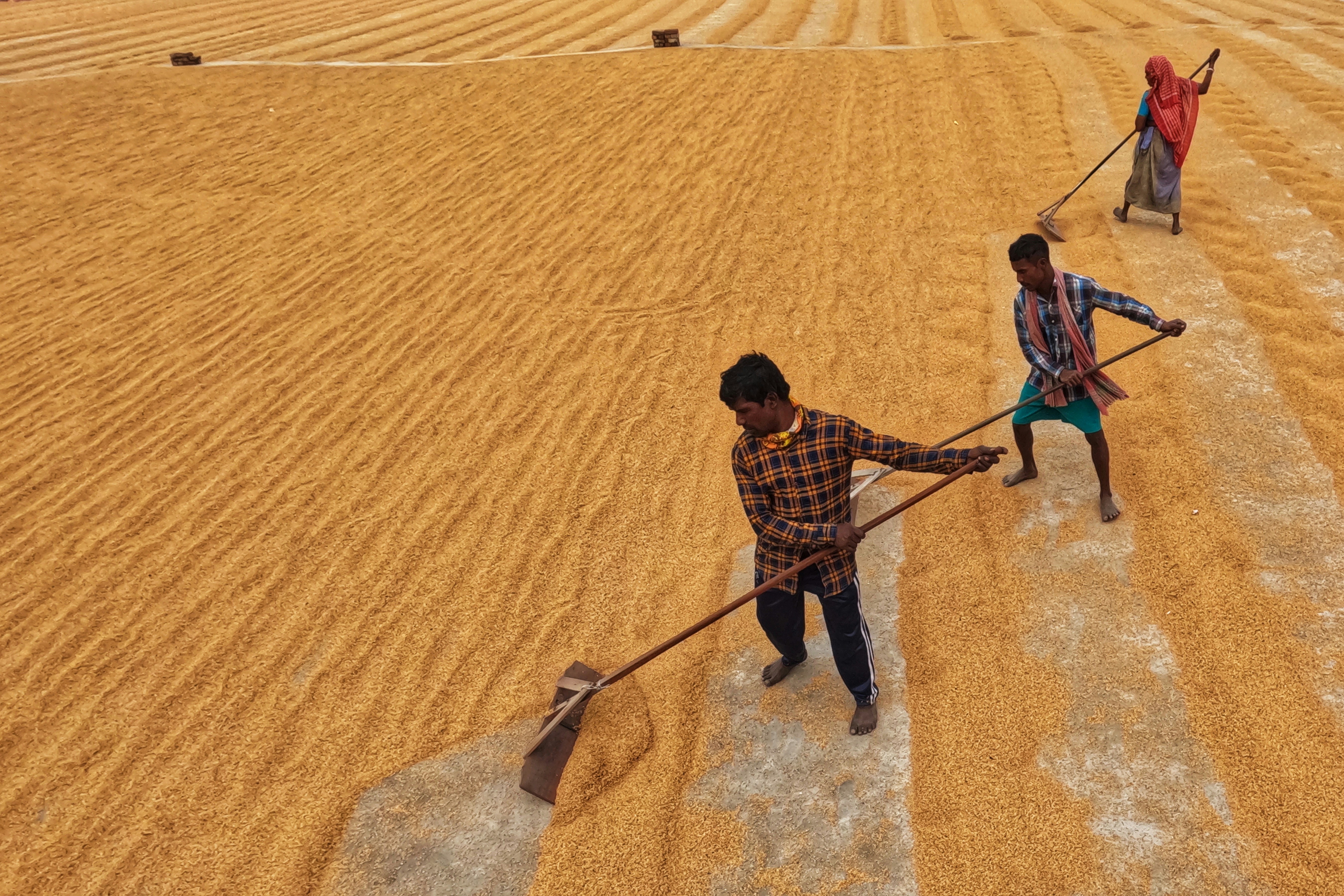 Photo by dibakar16roy