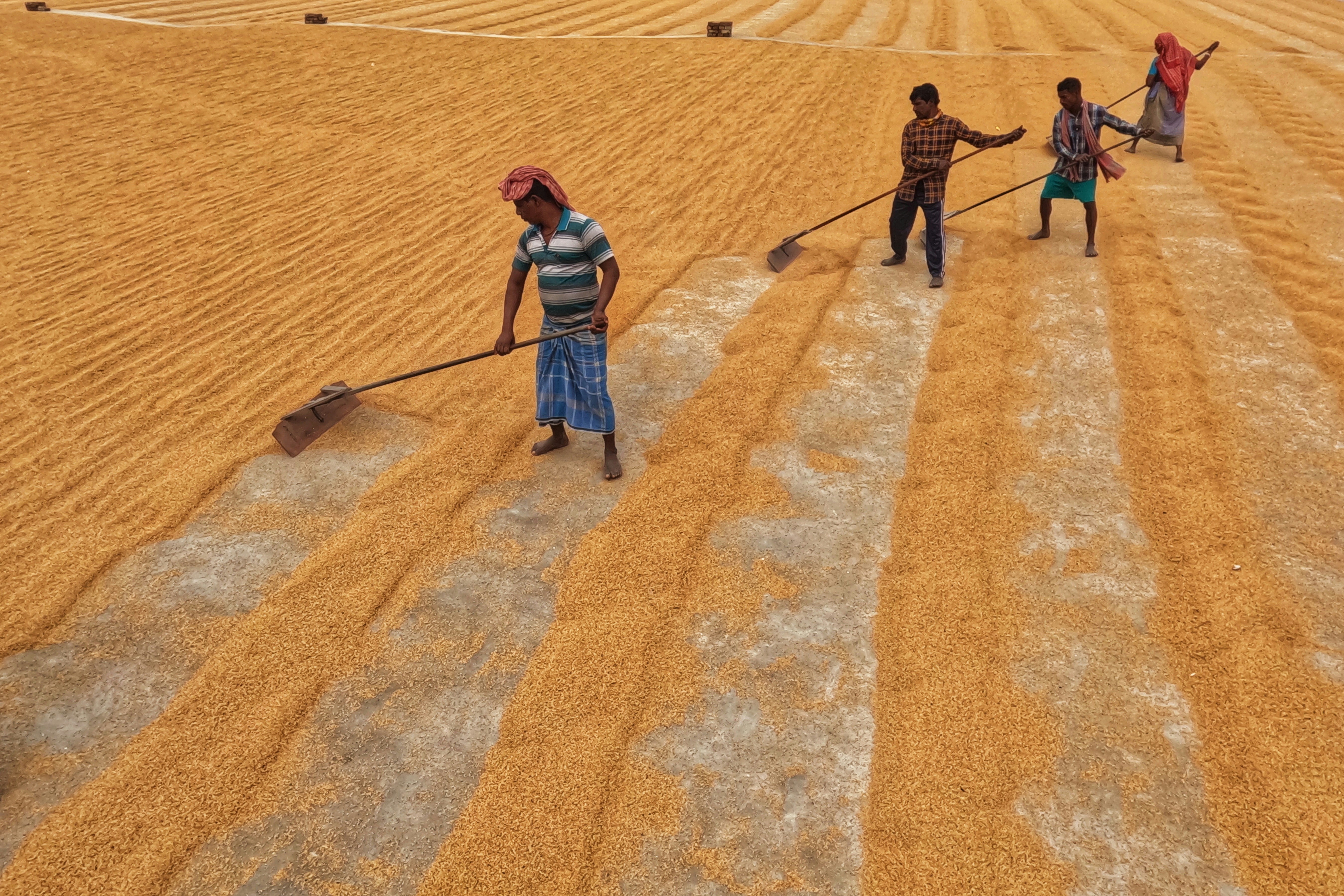 Photo by dibakar16roy