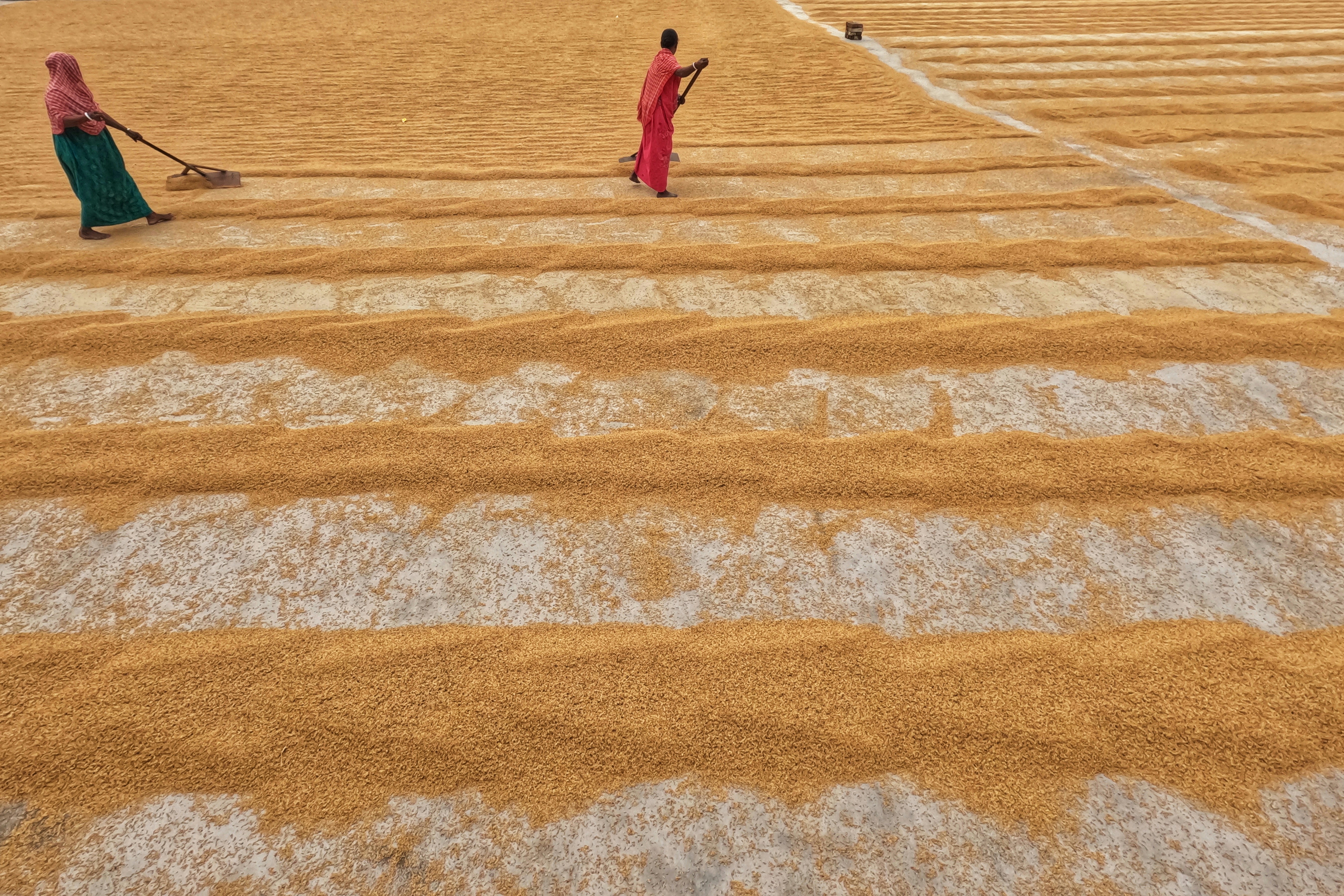 Photo by dibakar16roy