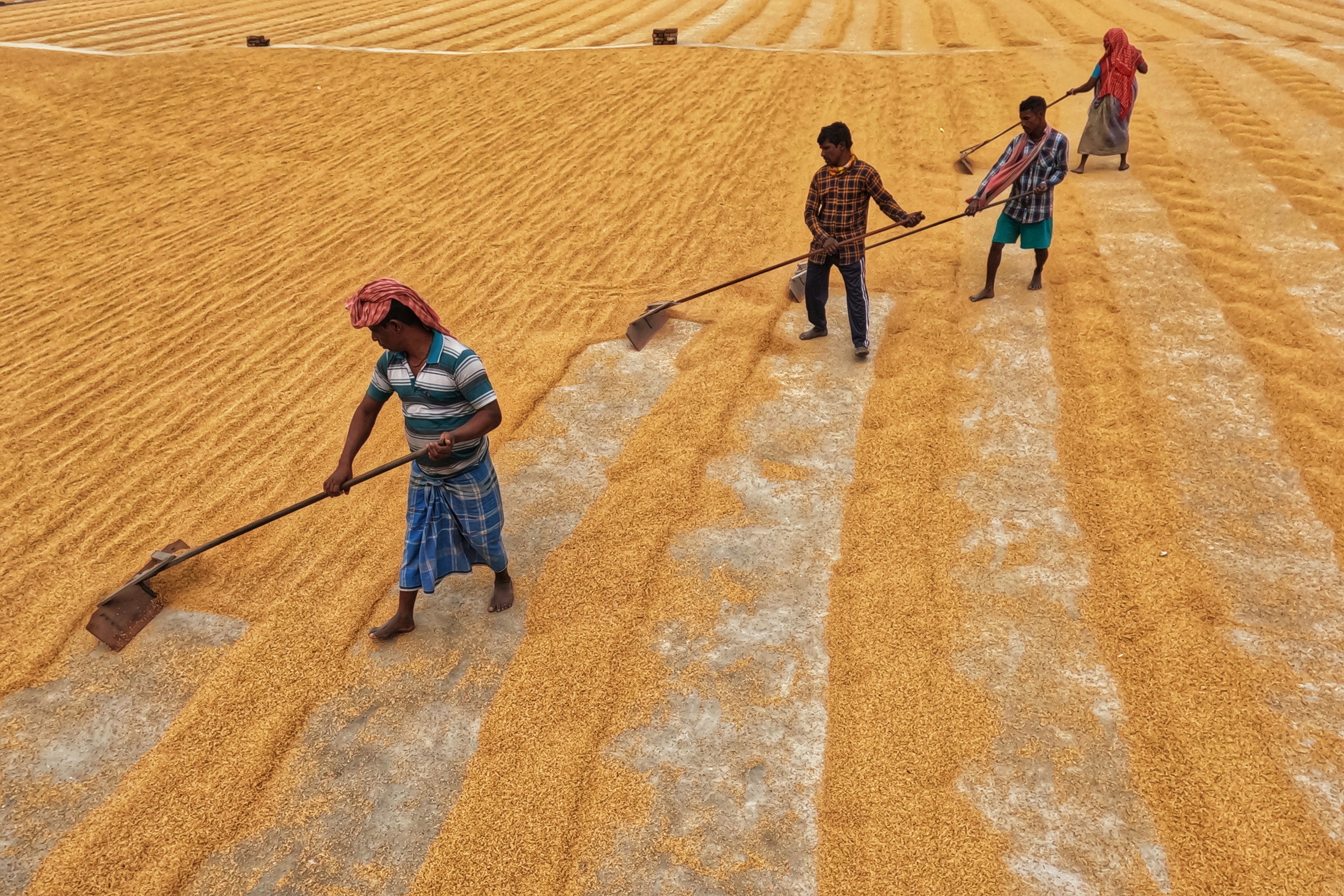 Photo by dibakar16roy