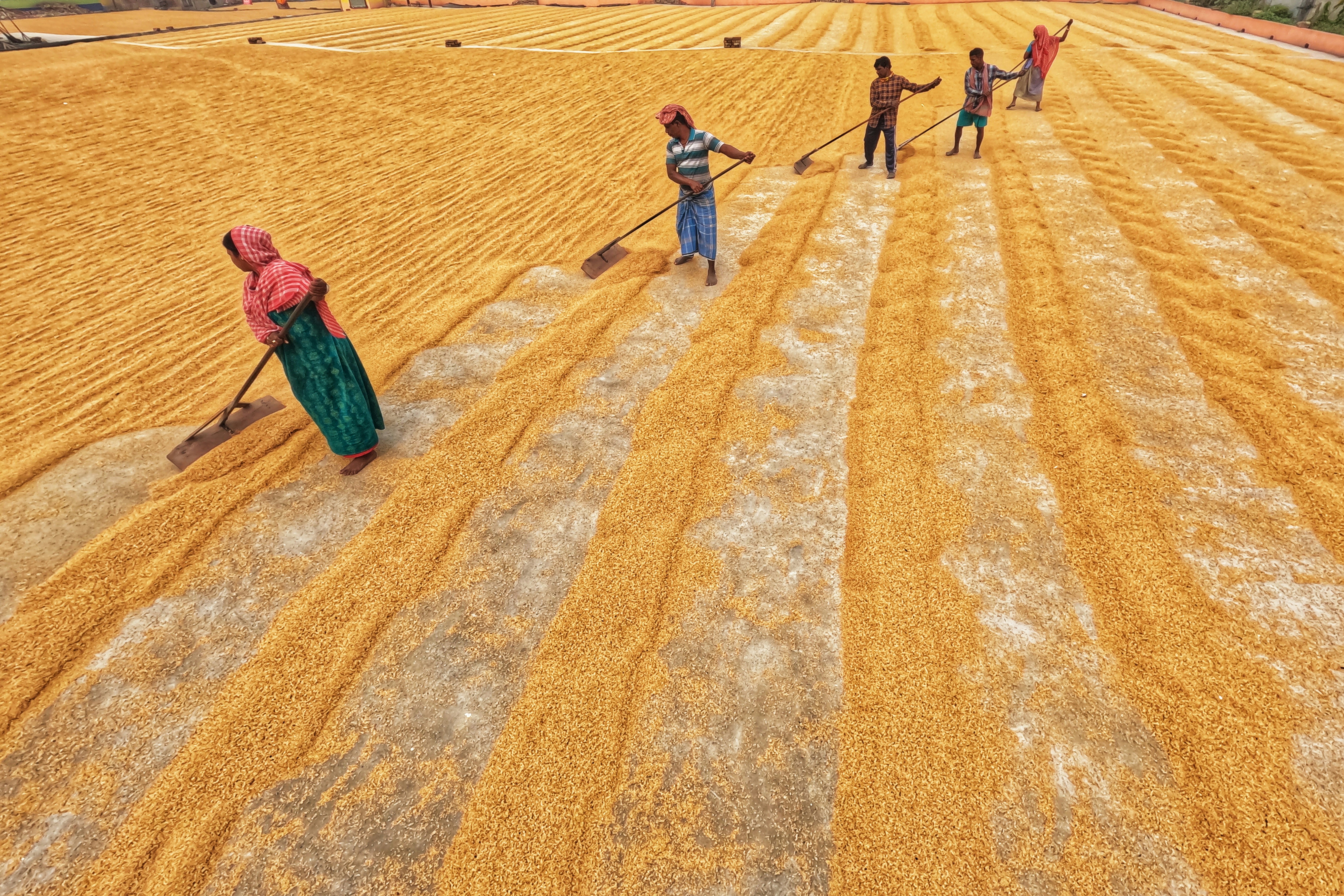 Photo by dibakar16roy