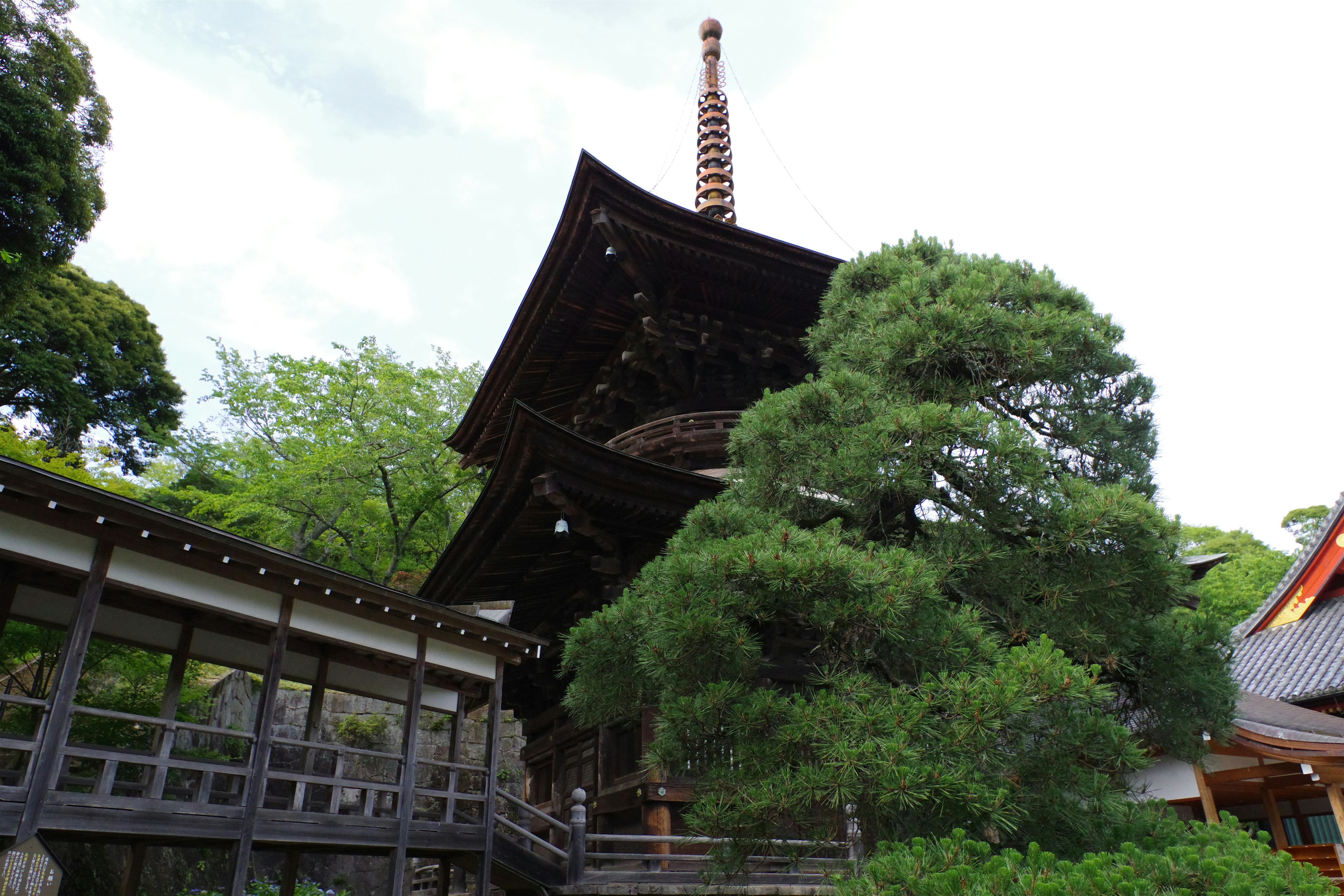 媽呀！90%的人都不知道，這樣做家裡竟然XXX！😱