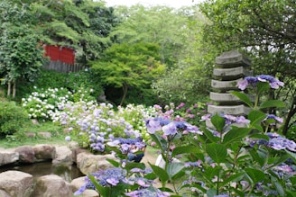 A garden filled with lots of flowers and rocks