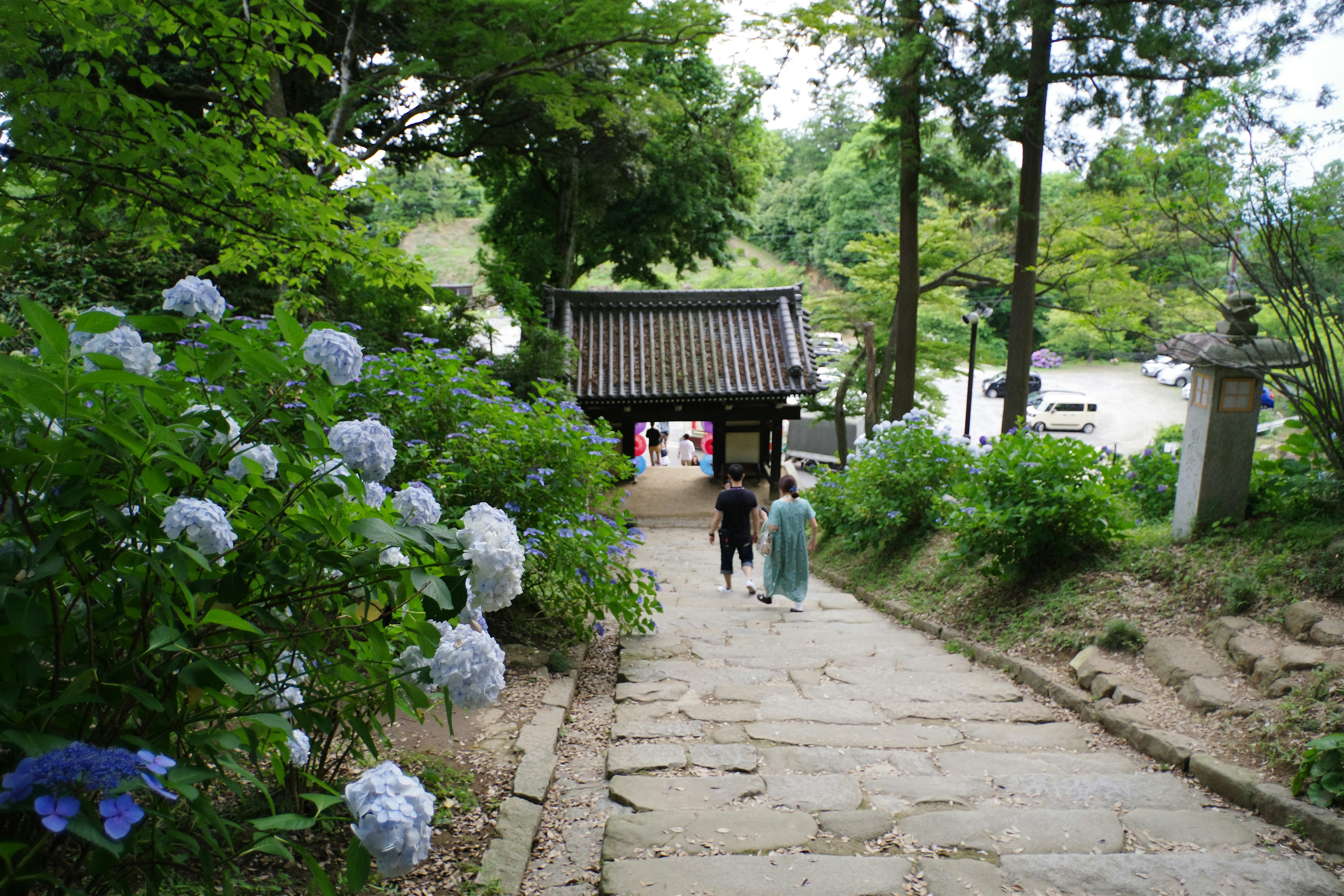 Photo by naopp