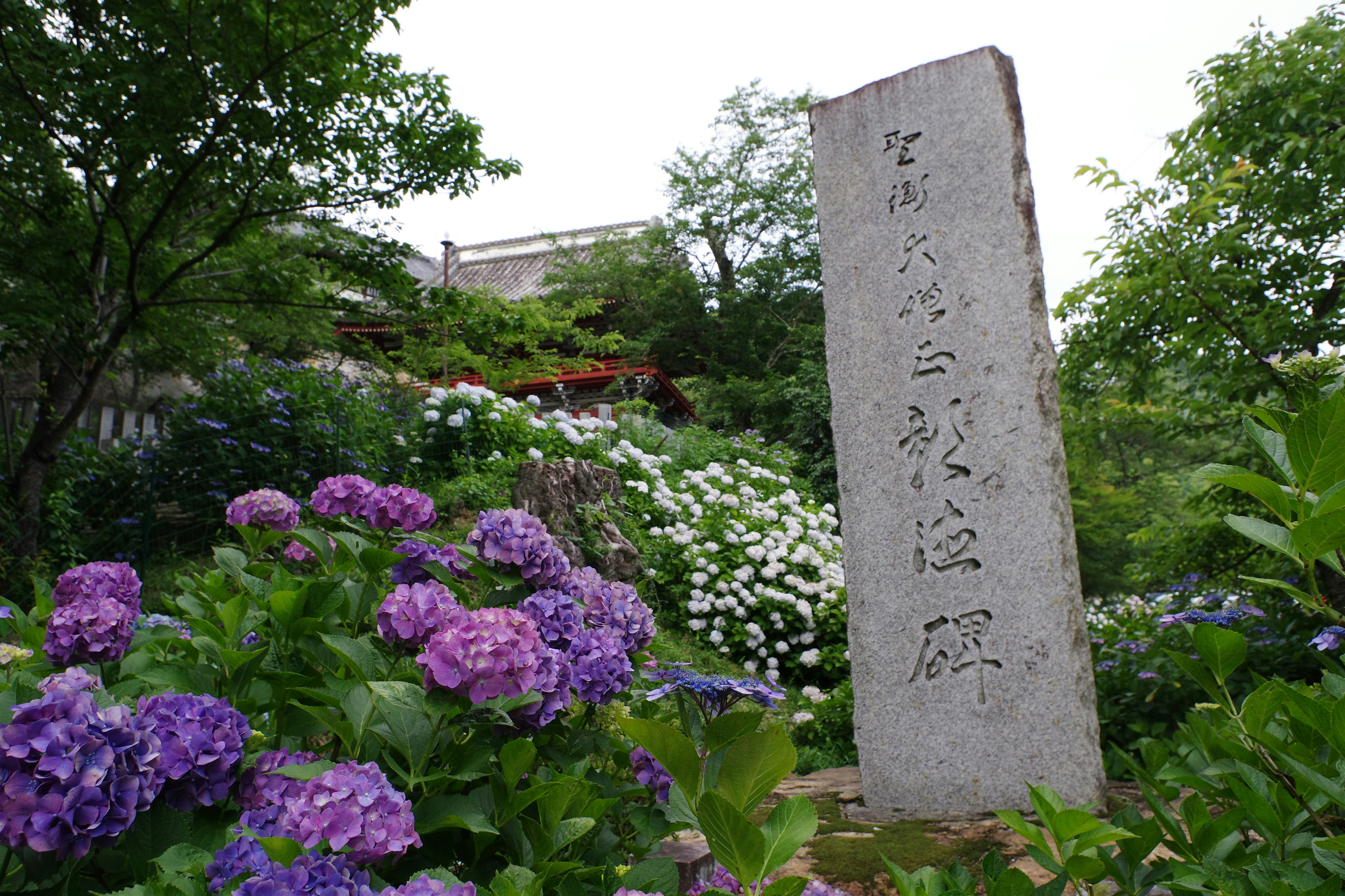 A peaceful memorial garden with a small engraved stone marker. Alt text: "A tranquil pet memorial garden with a stone marker and blooming flowers." - dog cremation cost