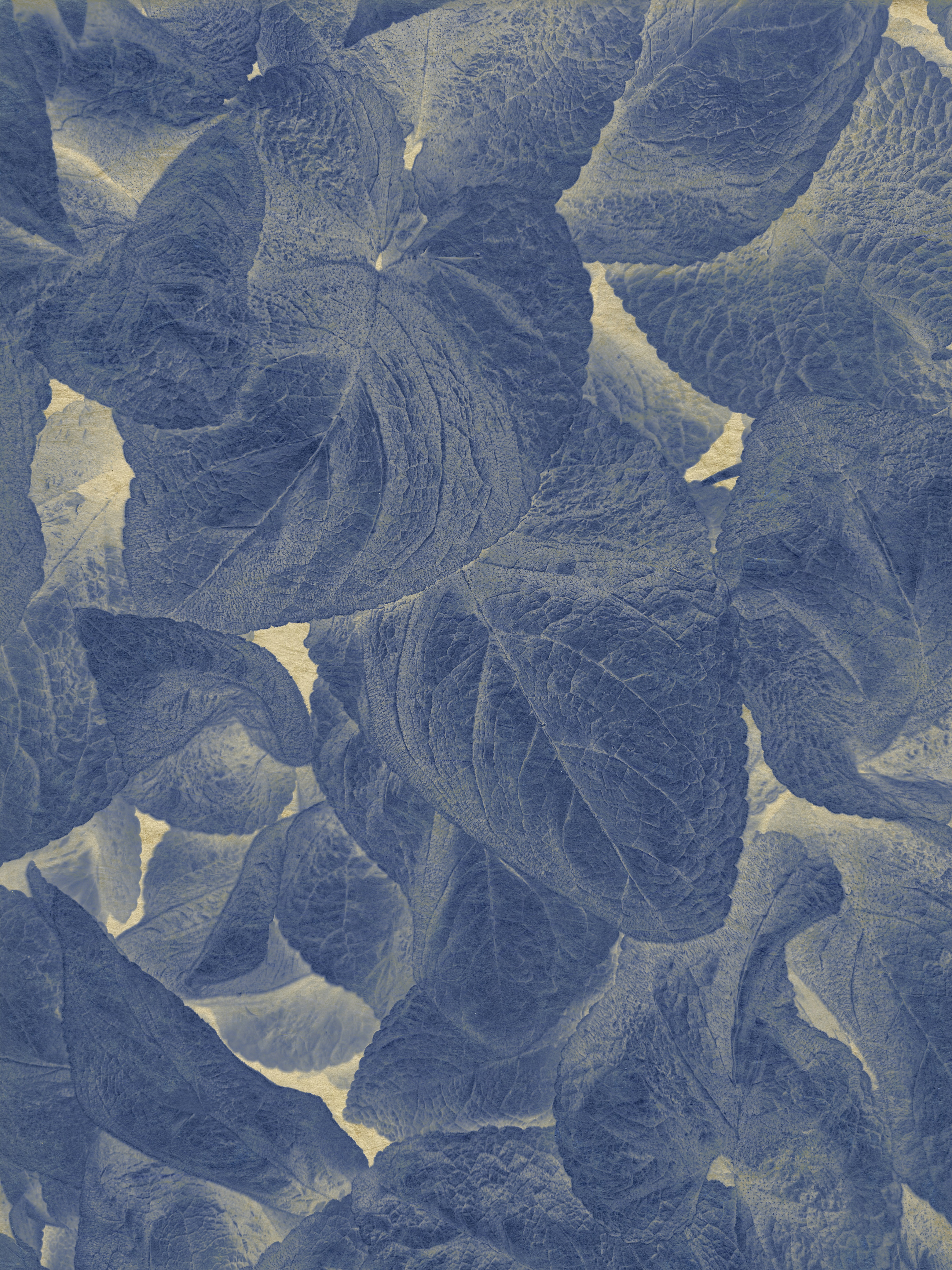 Understanding Hidden MS Progression: What You Need to Know