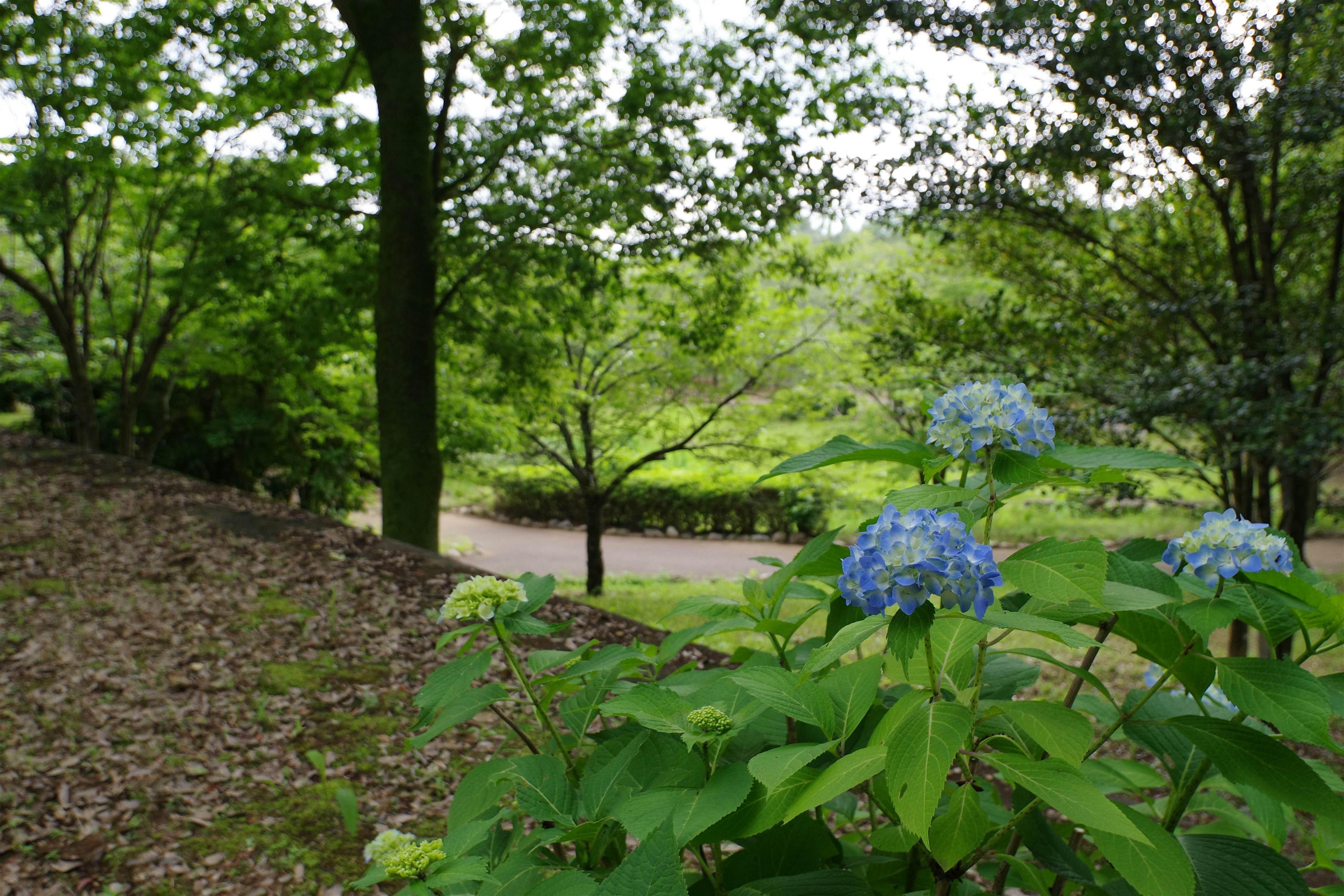 😱家裡這幾樣東西超髒！你敢信？真相曝光後我崩潰了！