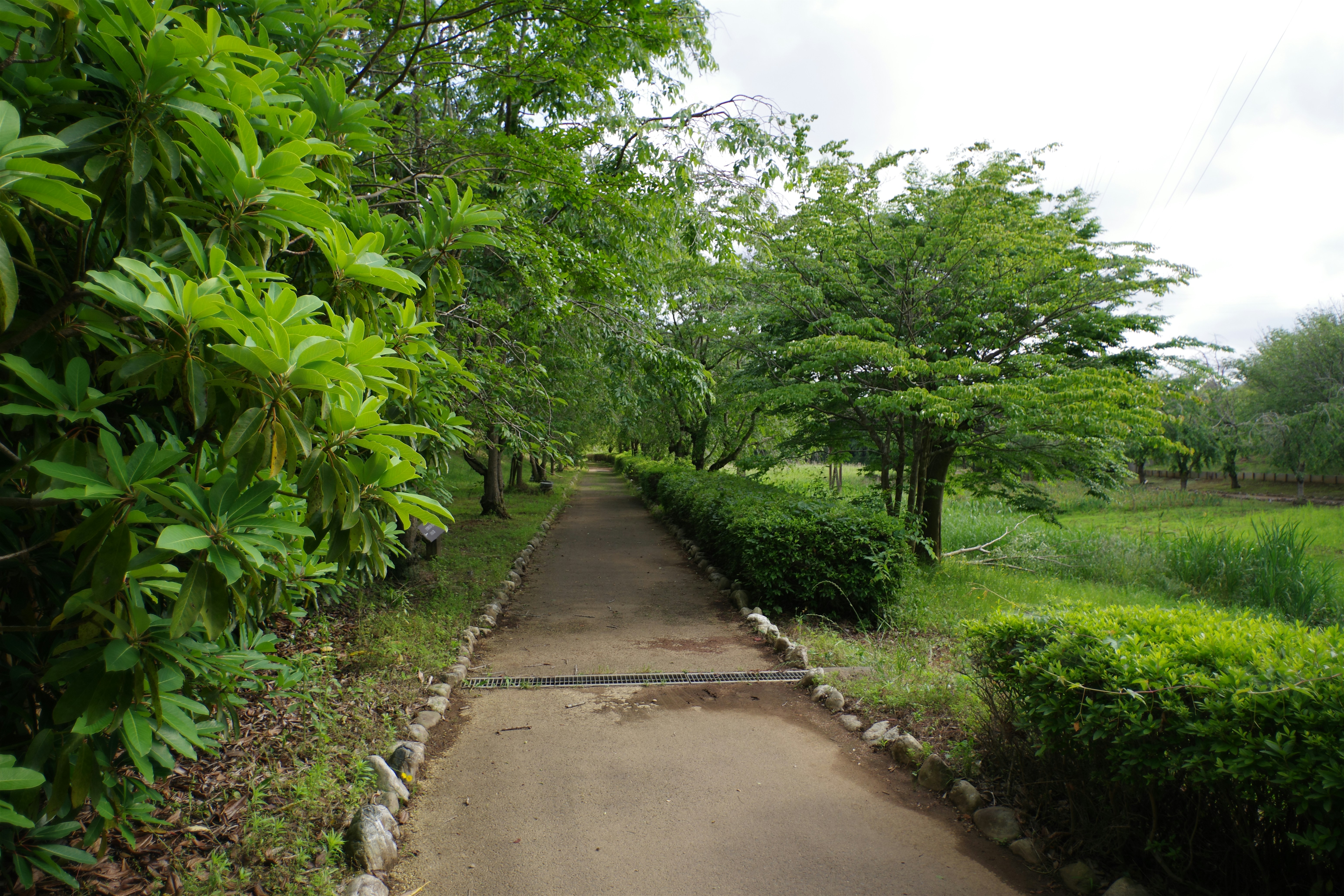 震驚！99%的人都做錯！家居清潔真相曝光，看完我跪了！
