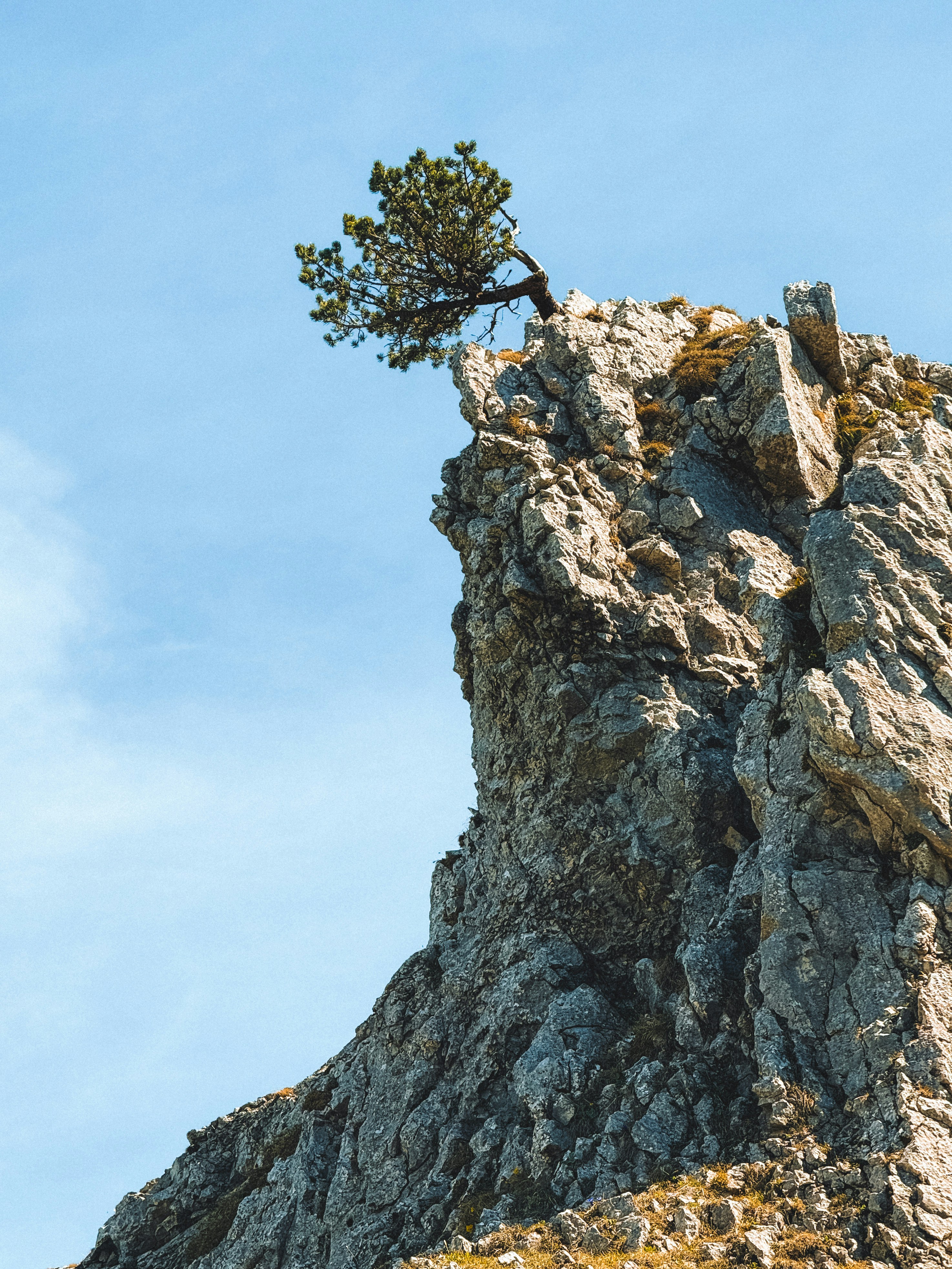 Photo by zvada_photo