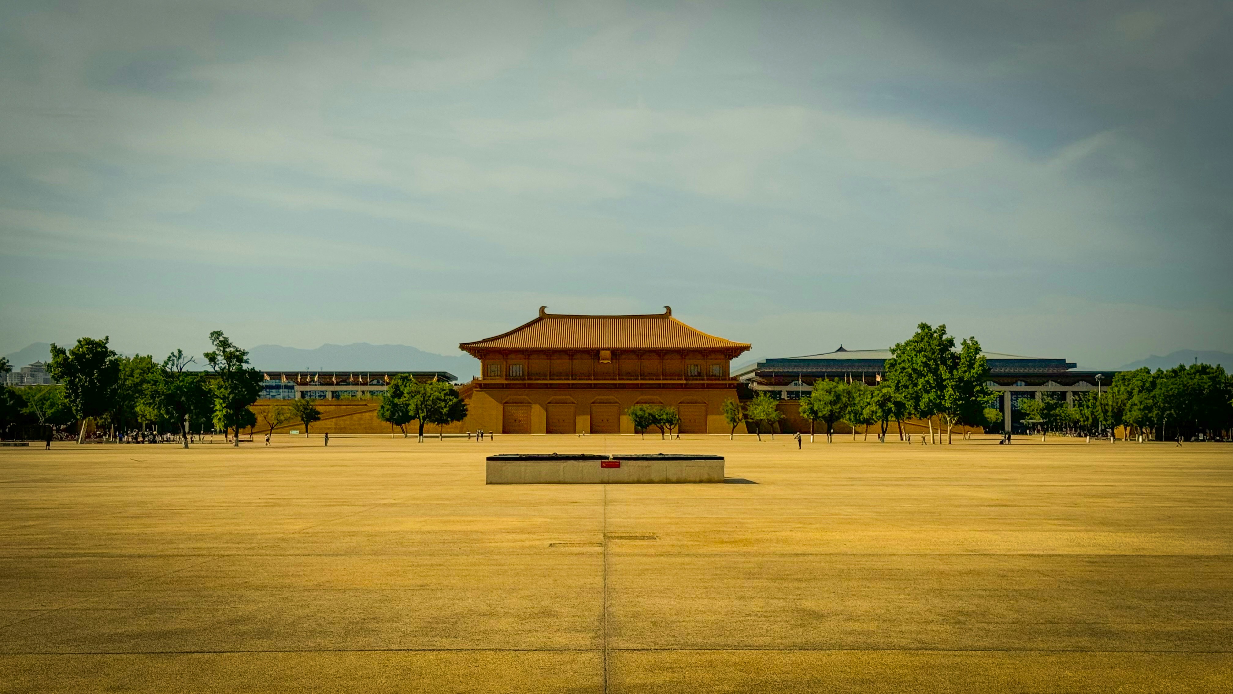 A yellow field with a building in the background