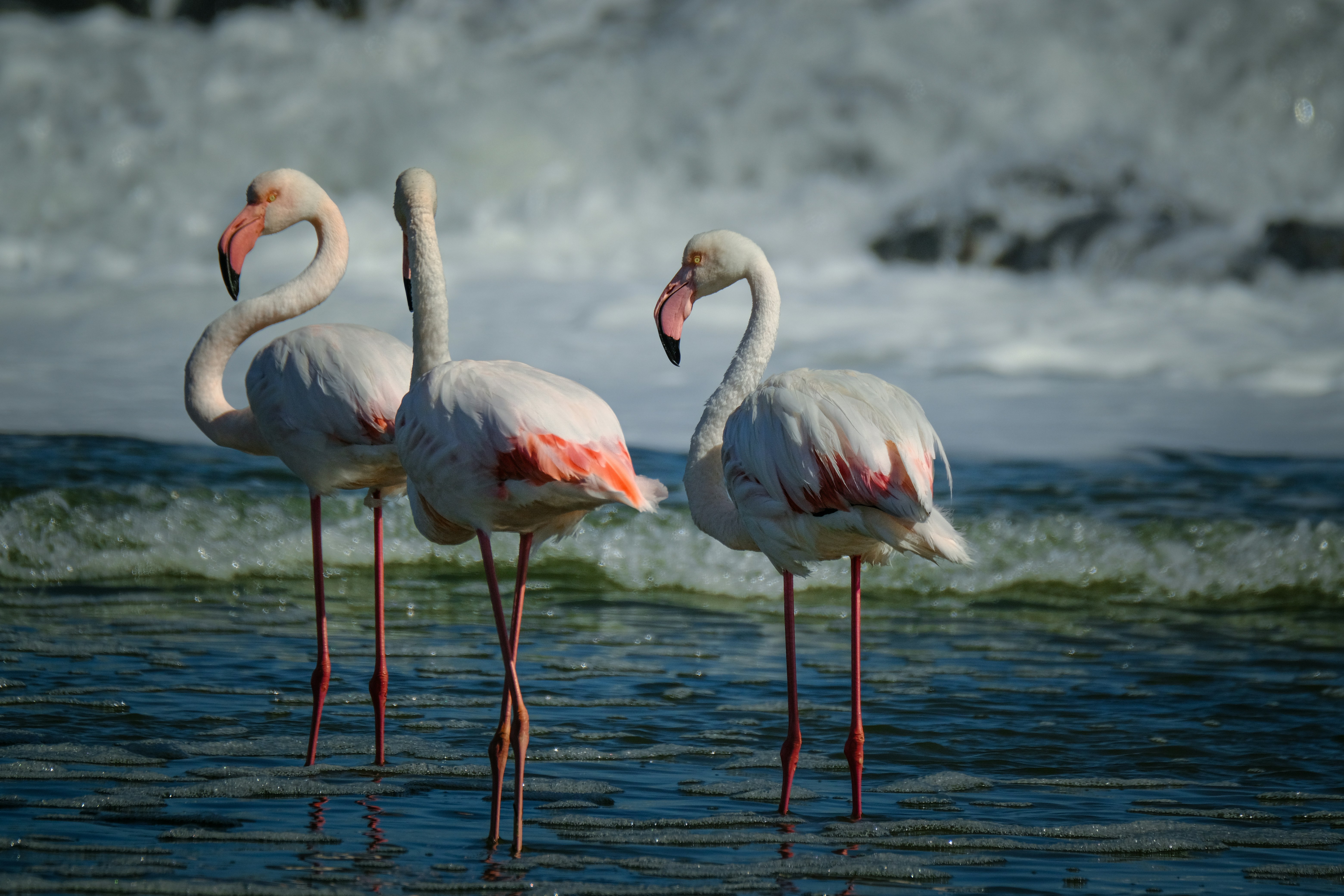 Photo by francesco_ungaro