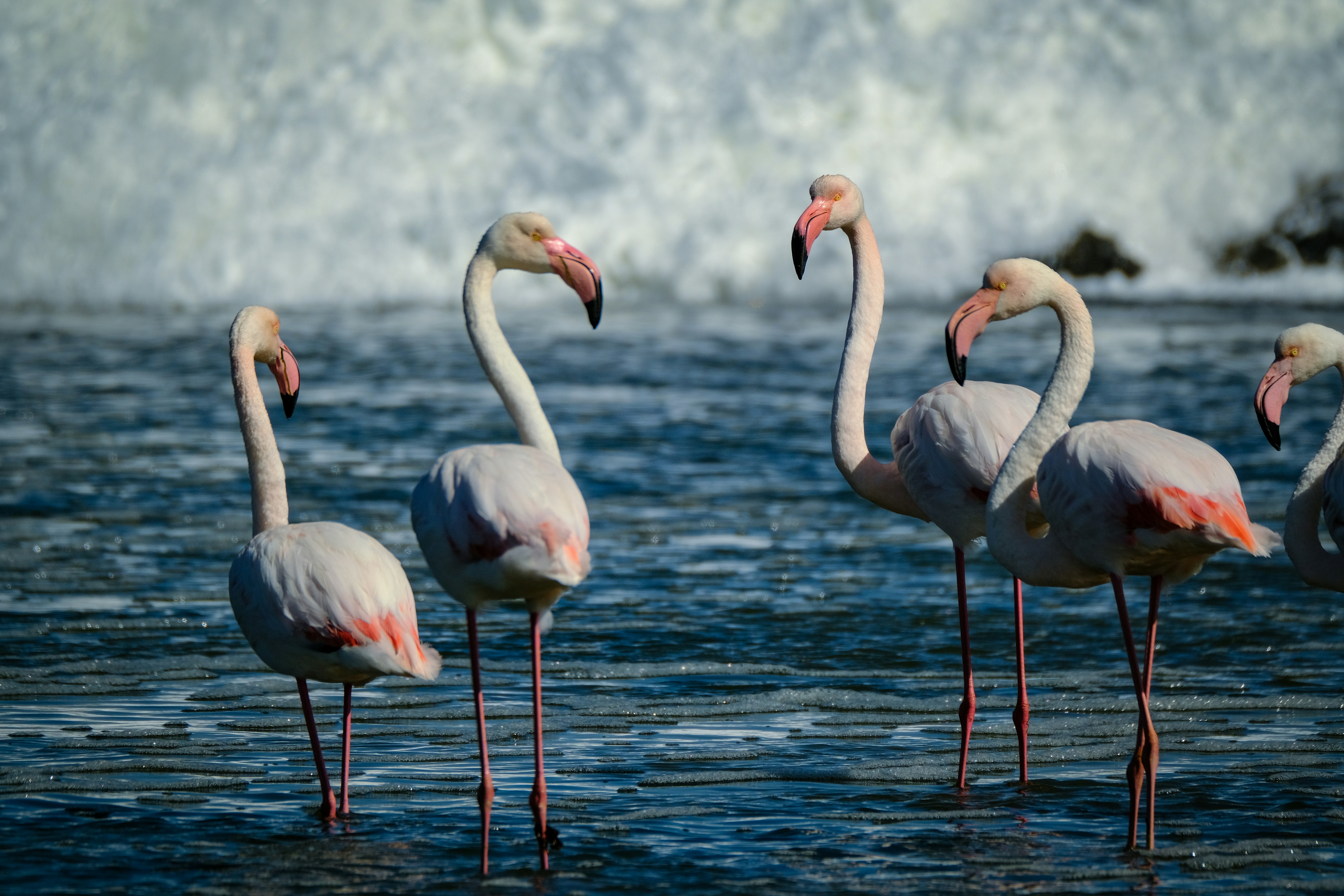 Photo by francesco_ungaro