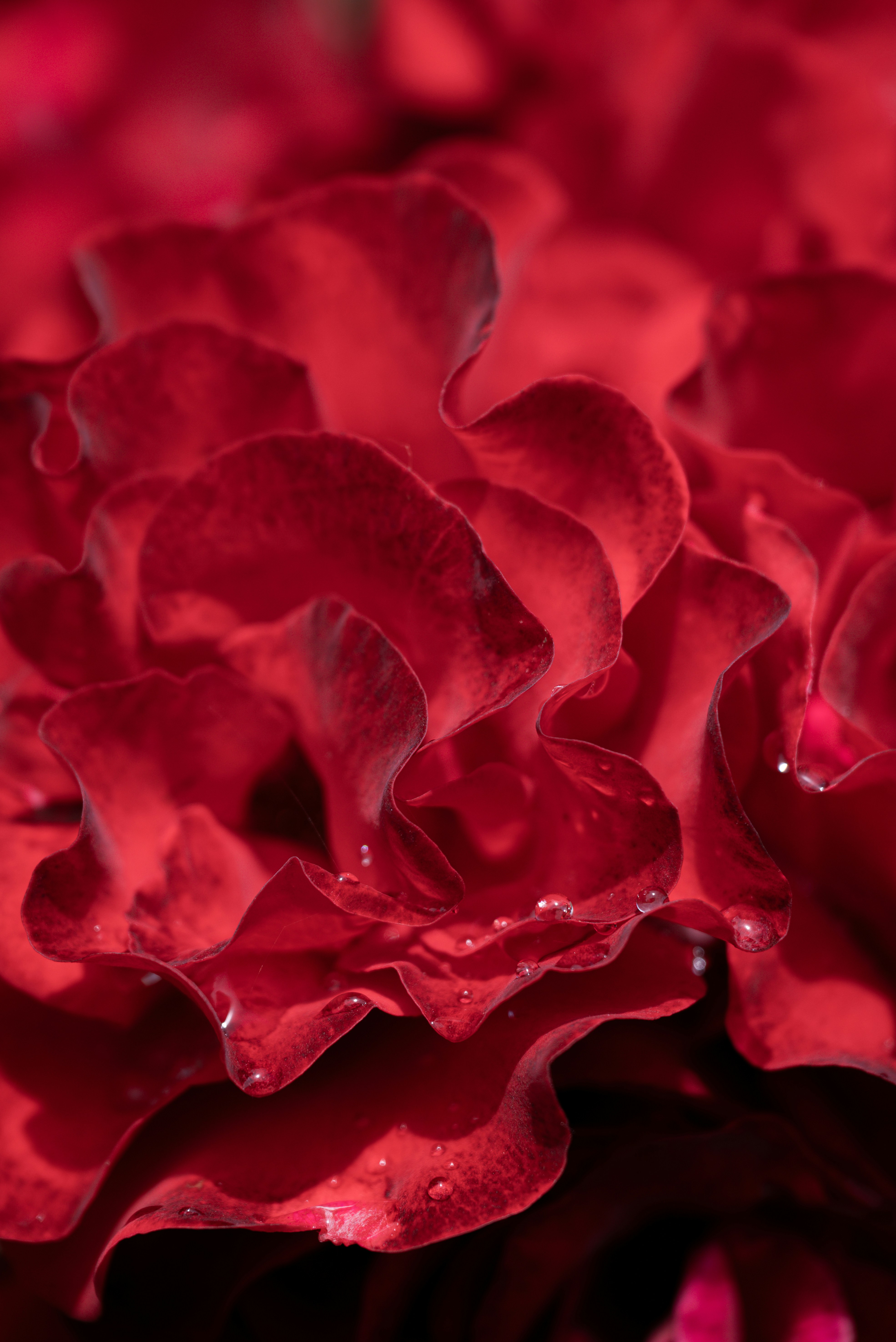 Photo by jetztabertempo