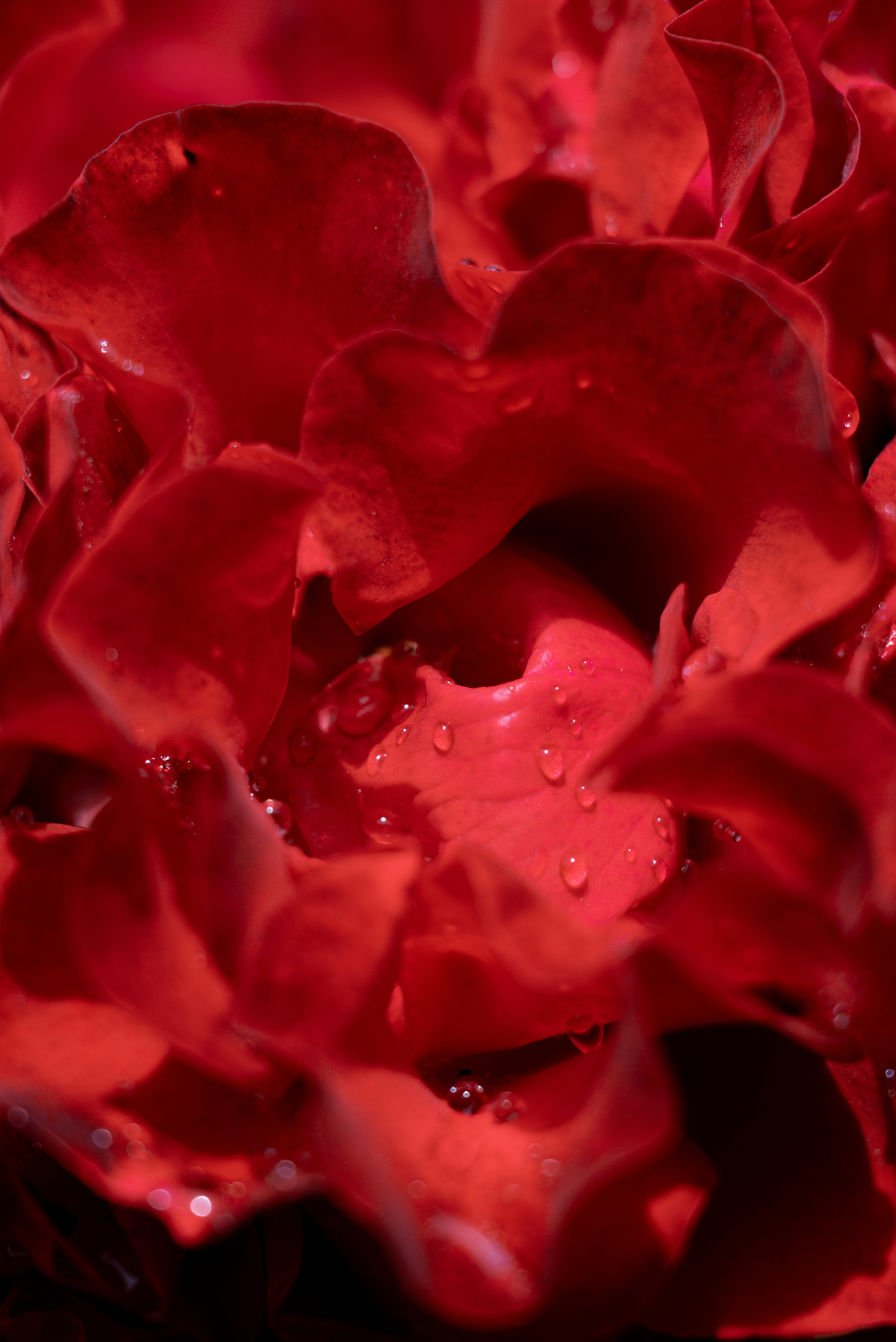 Photo by jetztabertempo