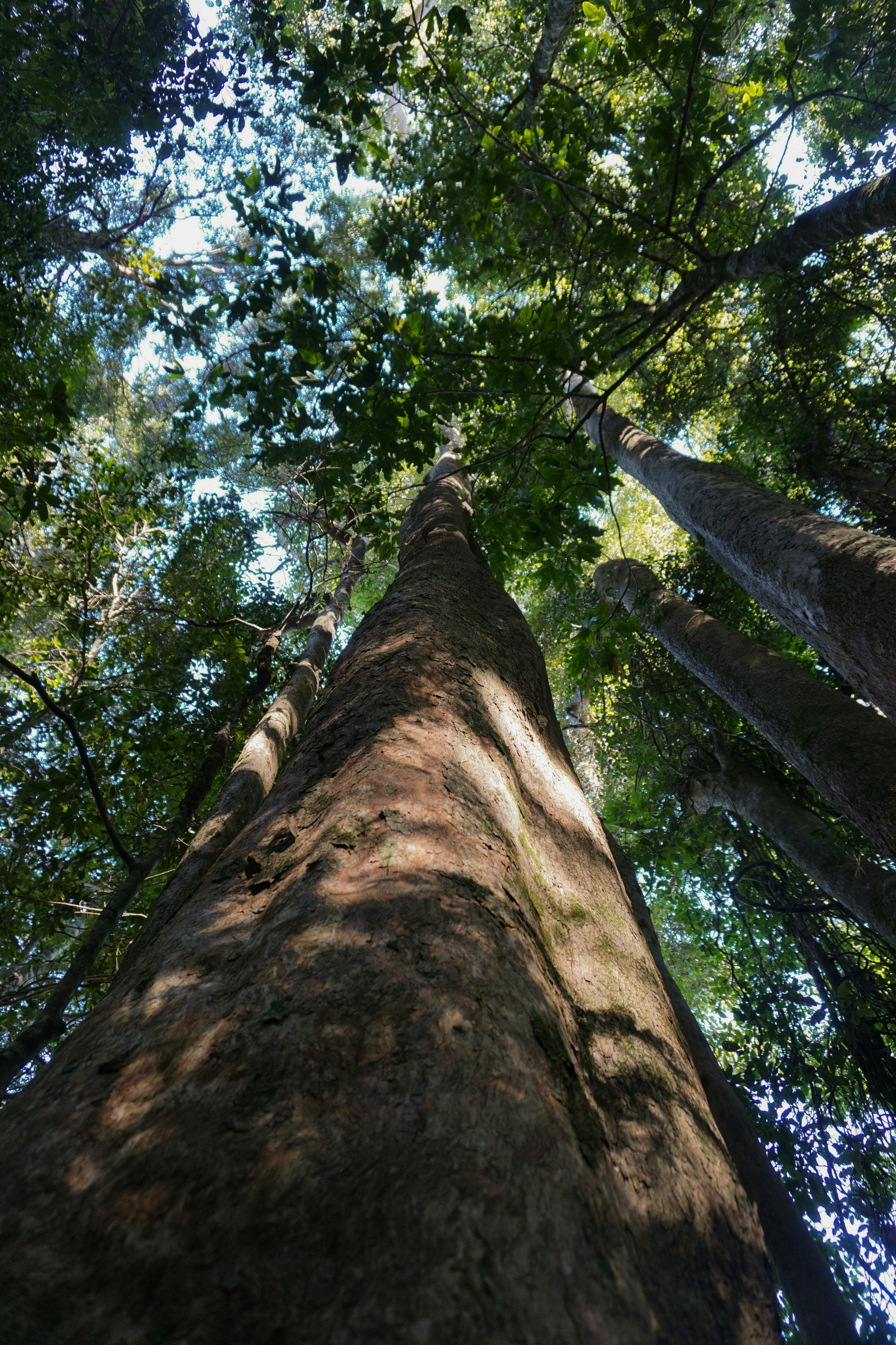 Photo by giovanabarne