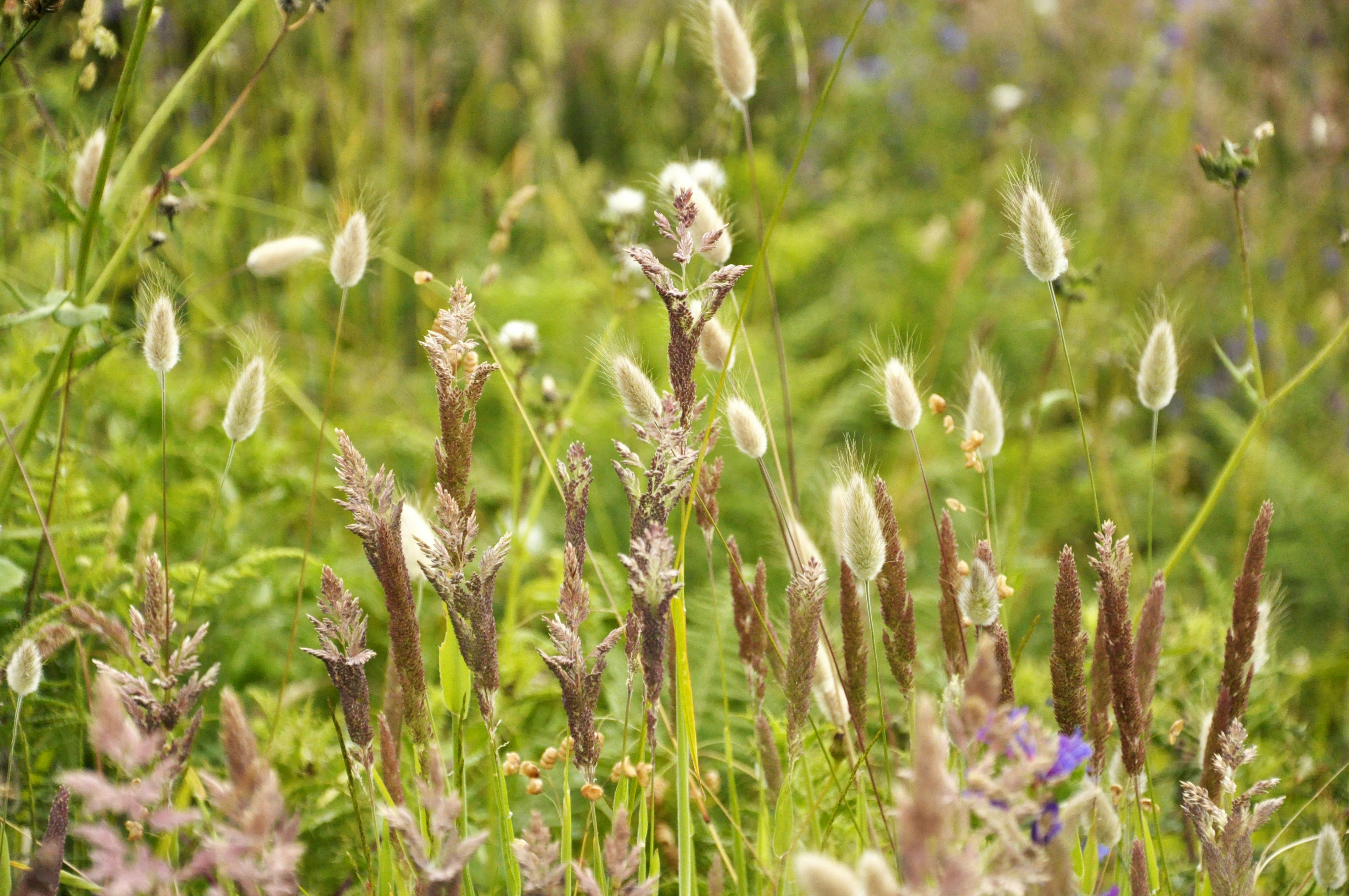 Photo by balbona_andrea