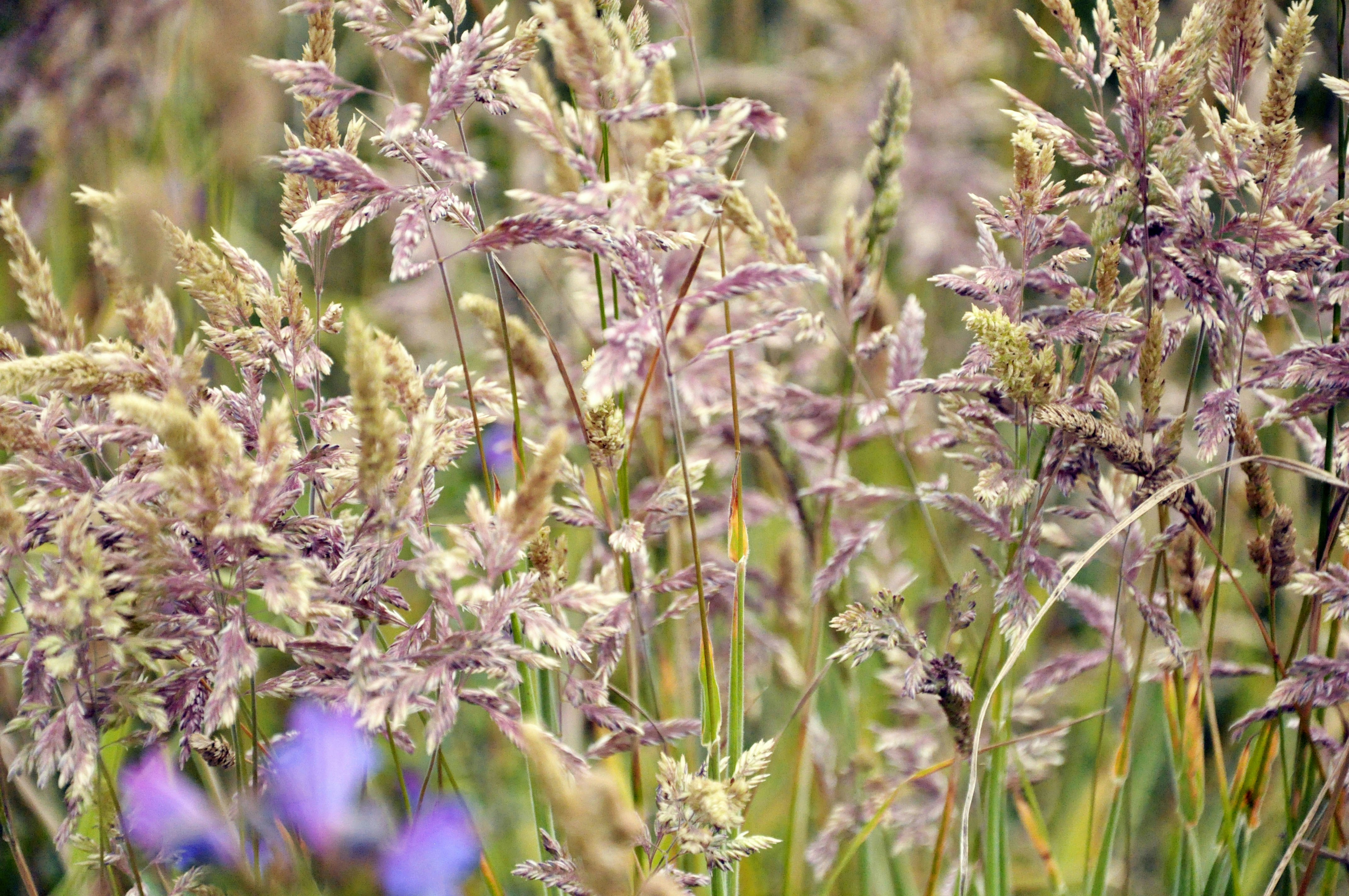 Photo by balbona_andrea