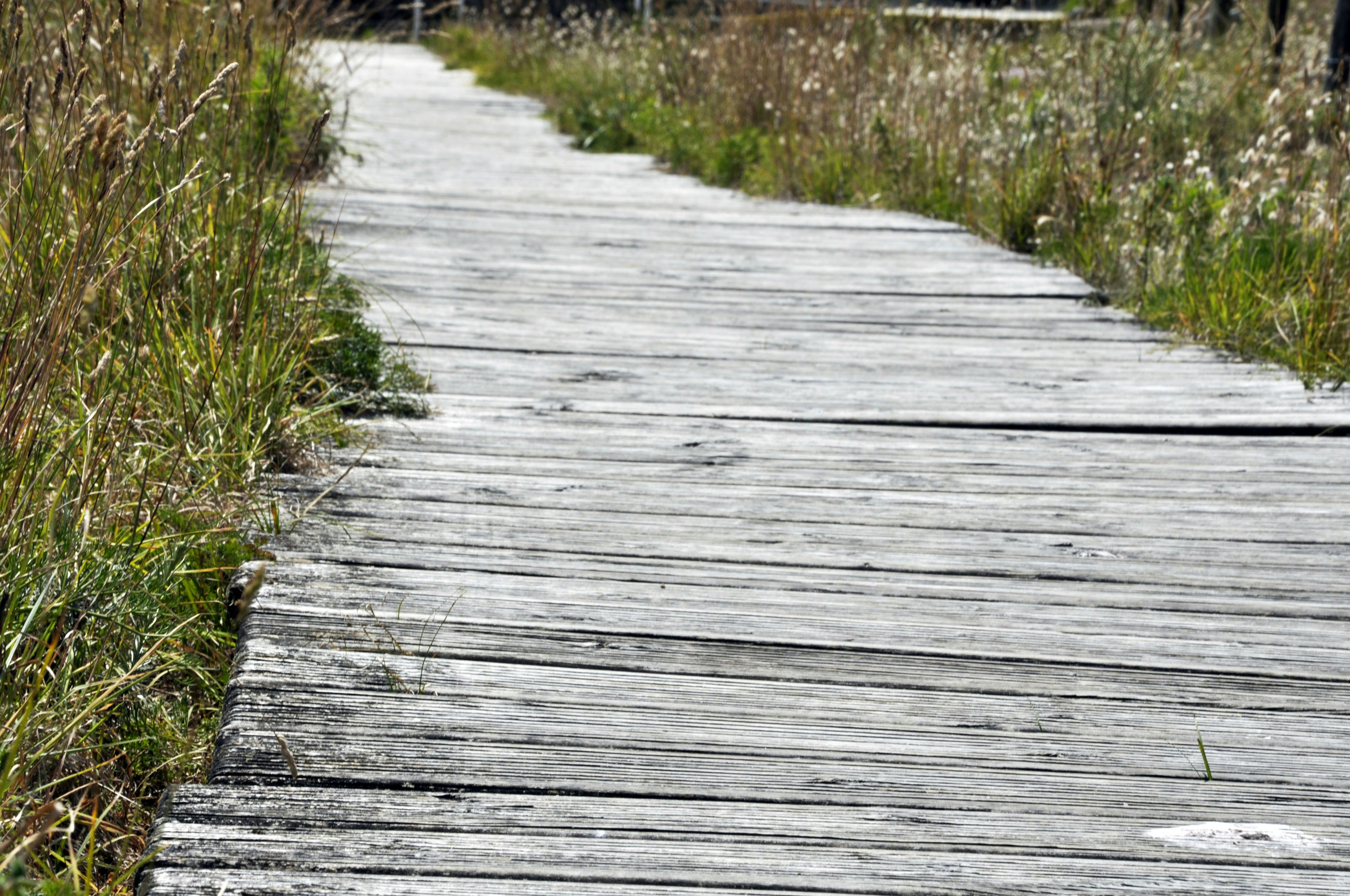 Photo by balbona_andrea