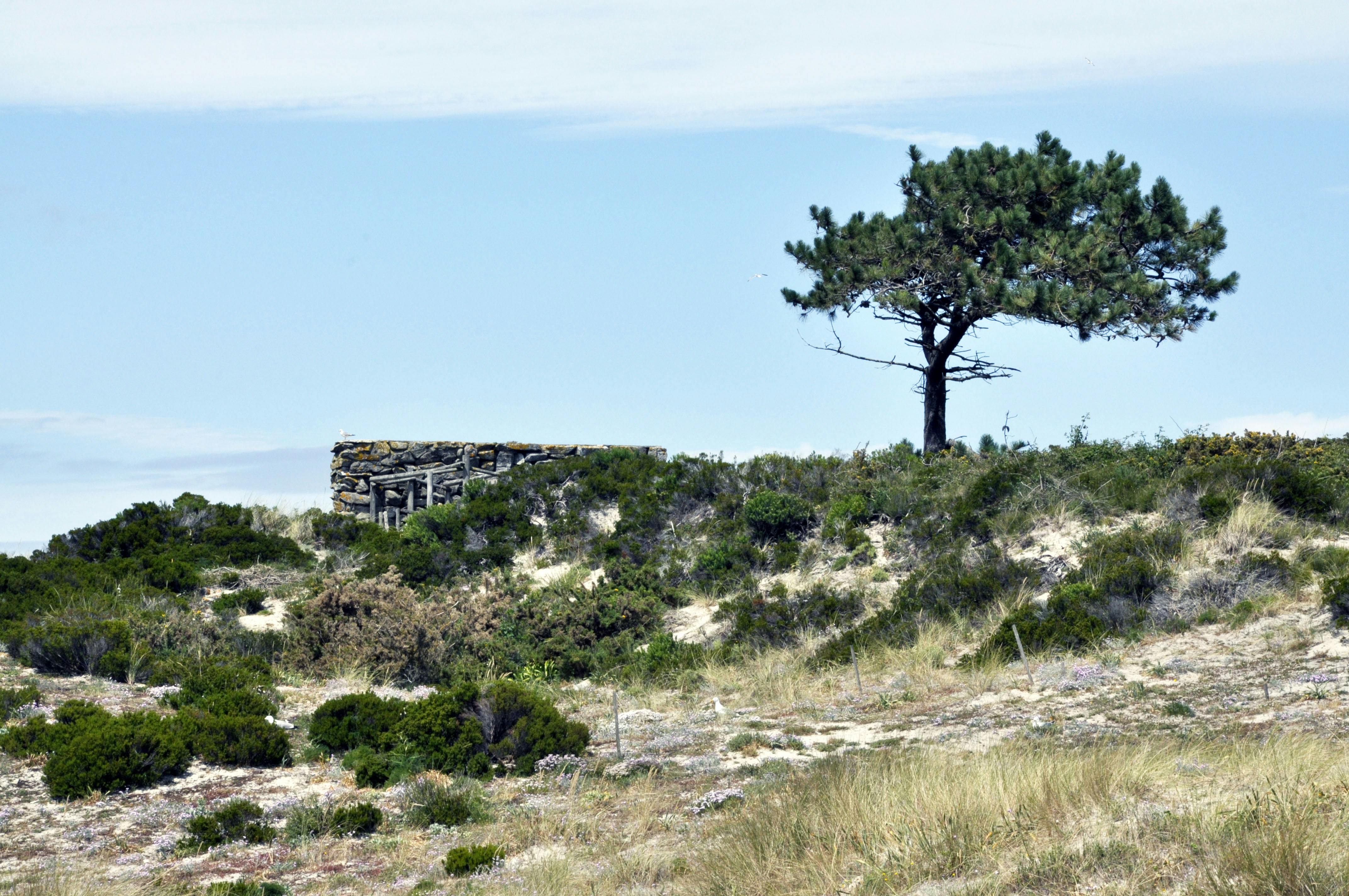 Photo by balbona_andrea