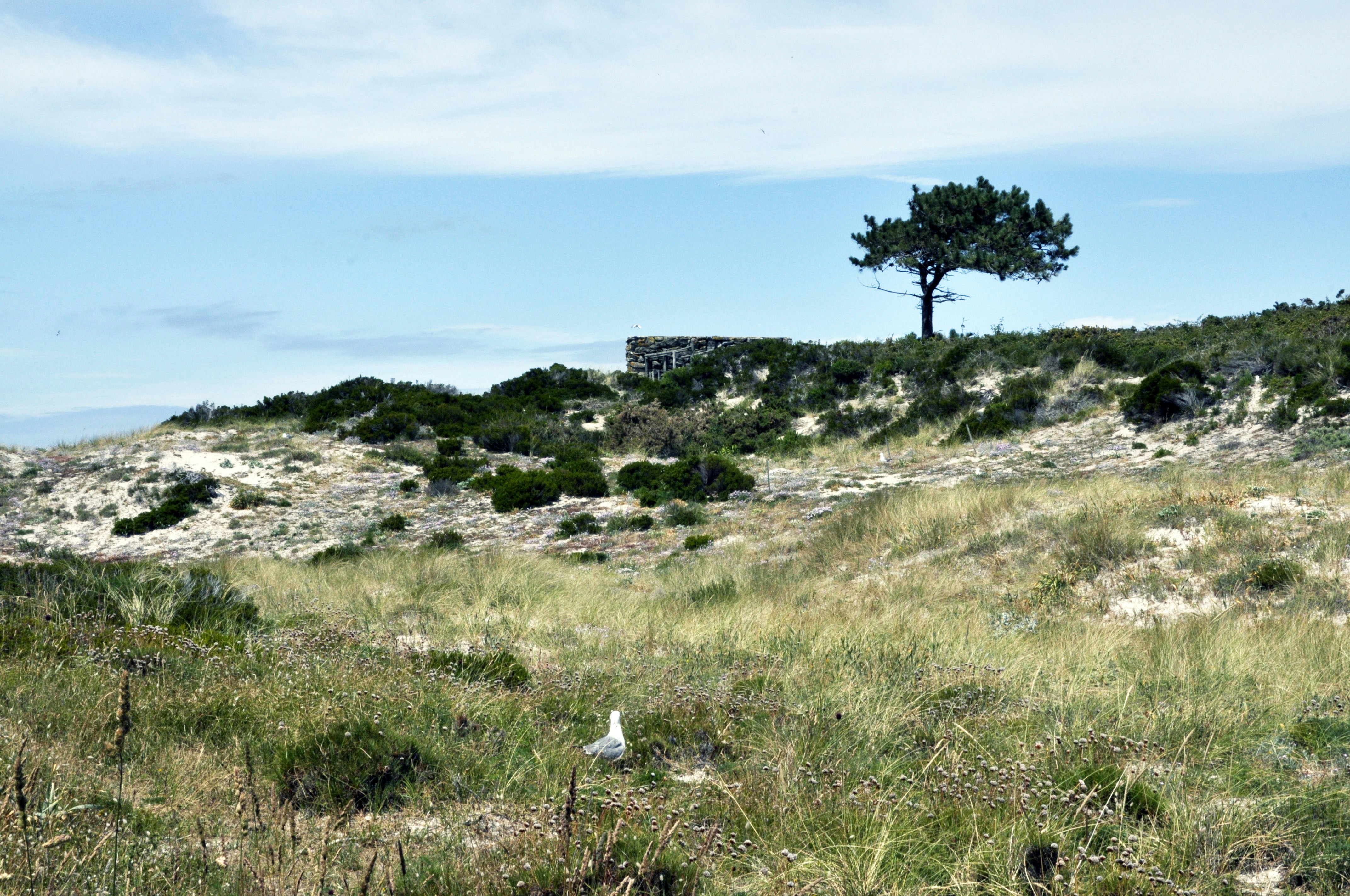 Photo by balbona_andrea