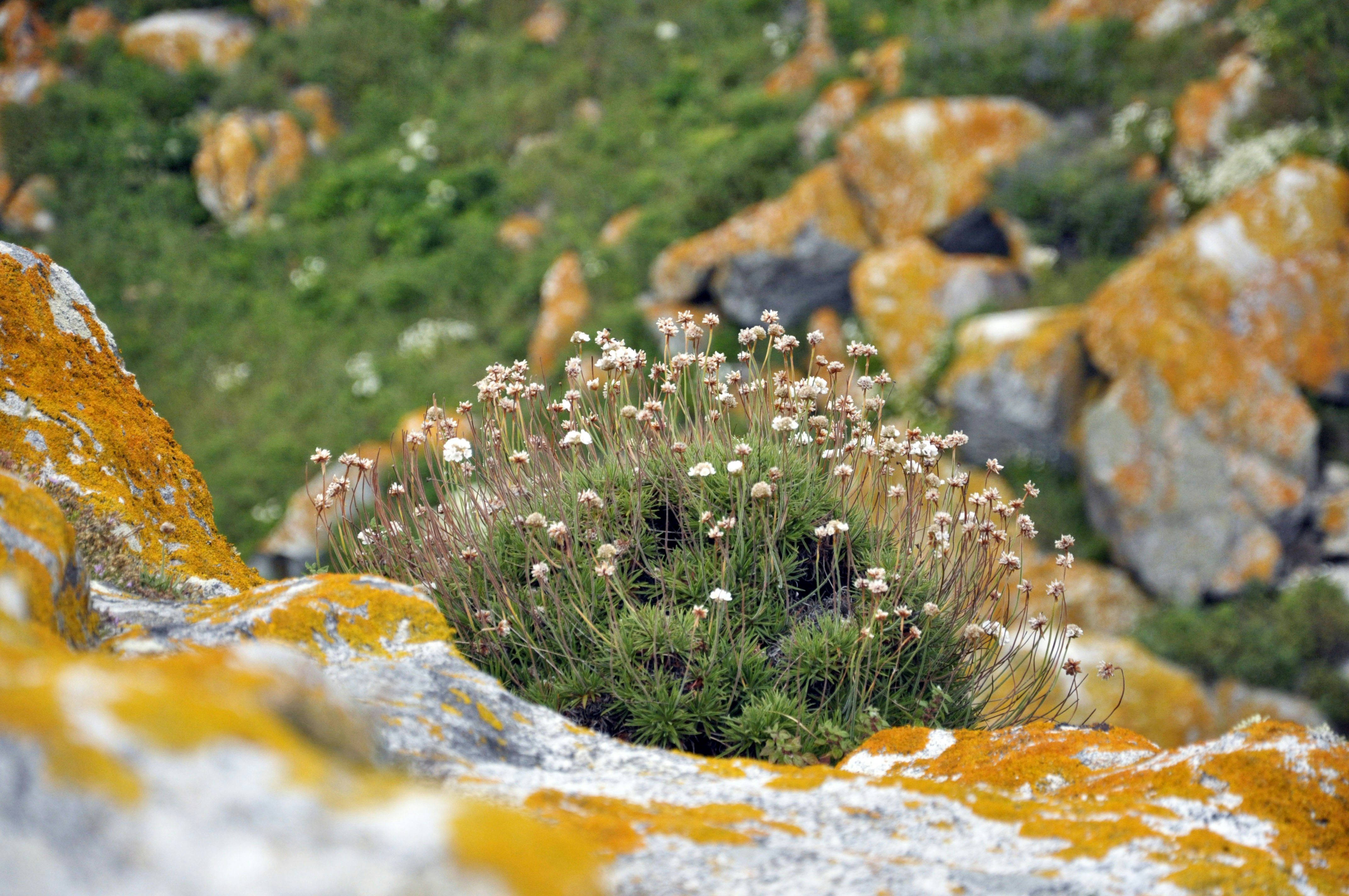 Photo by balbona_andrea