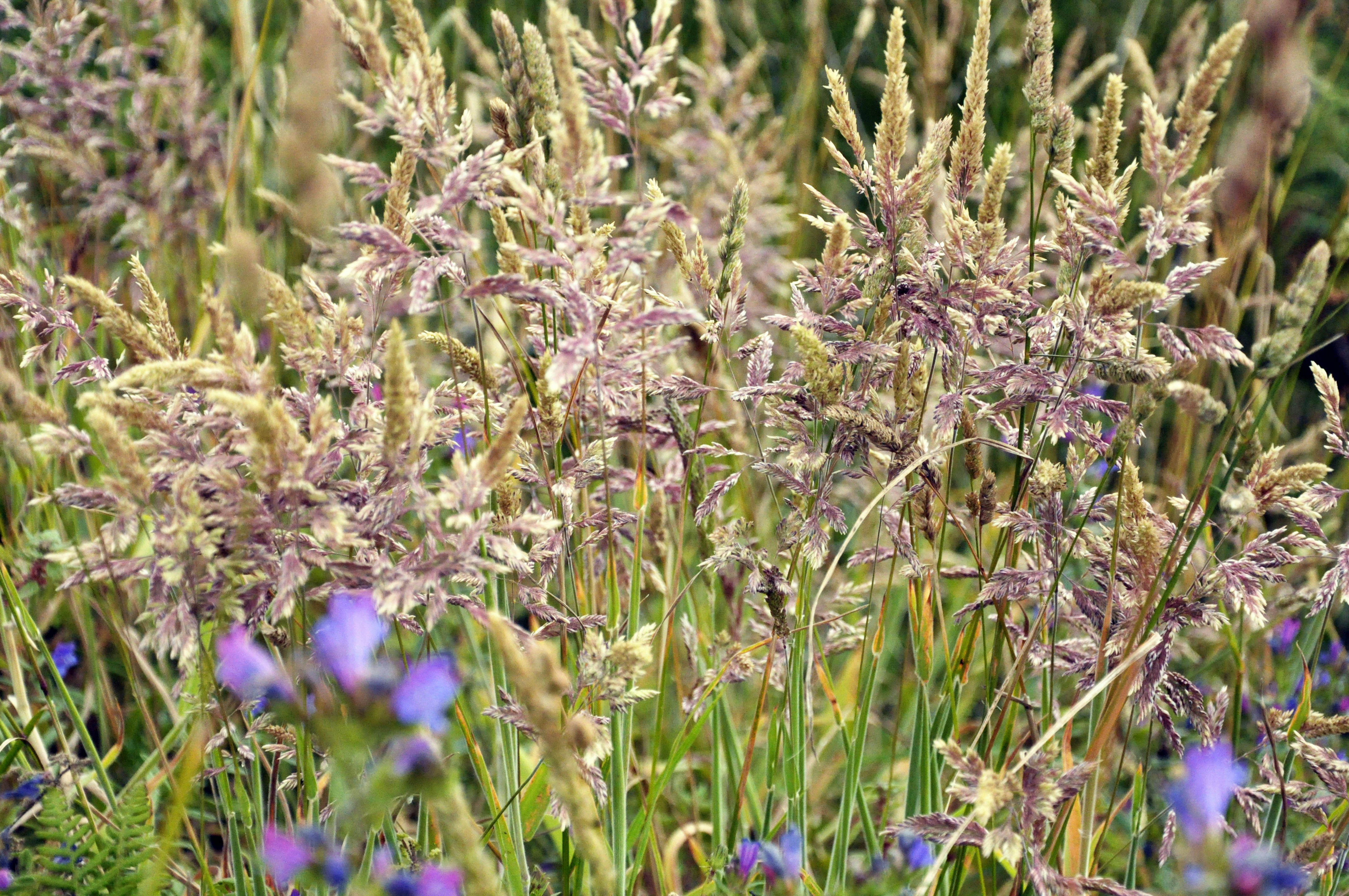 Photo by balbona_andrea