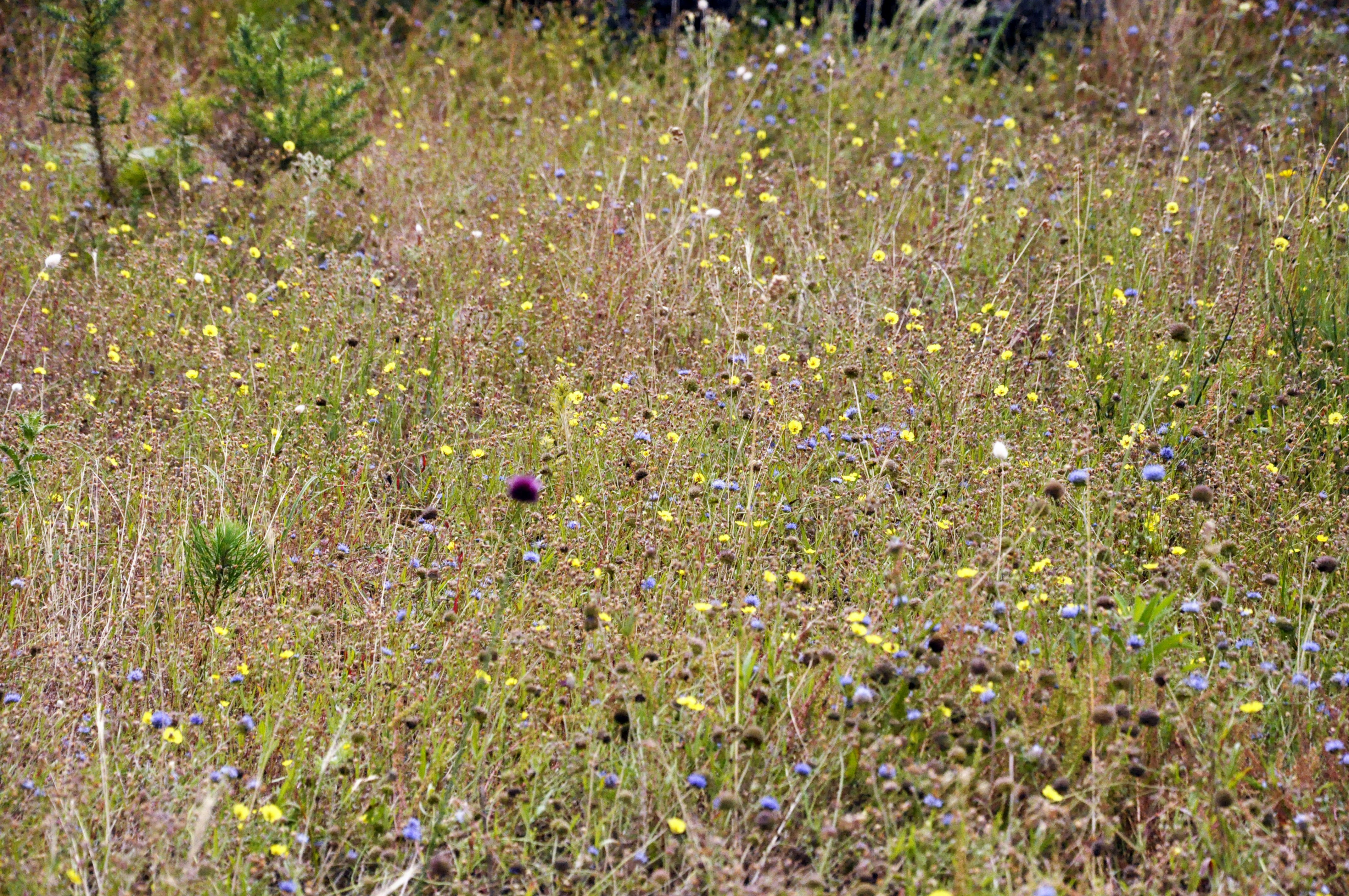 Photo by balbona_andrea