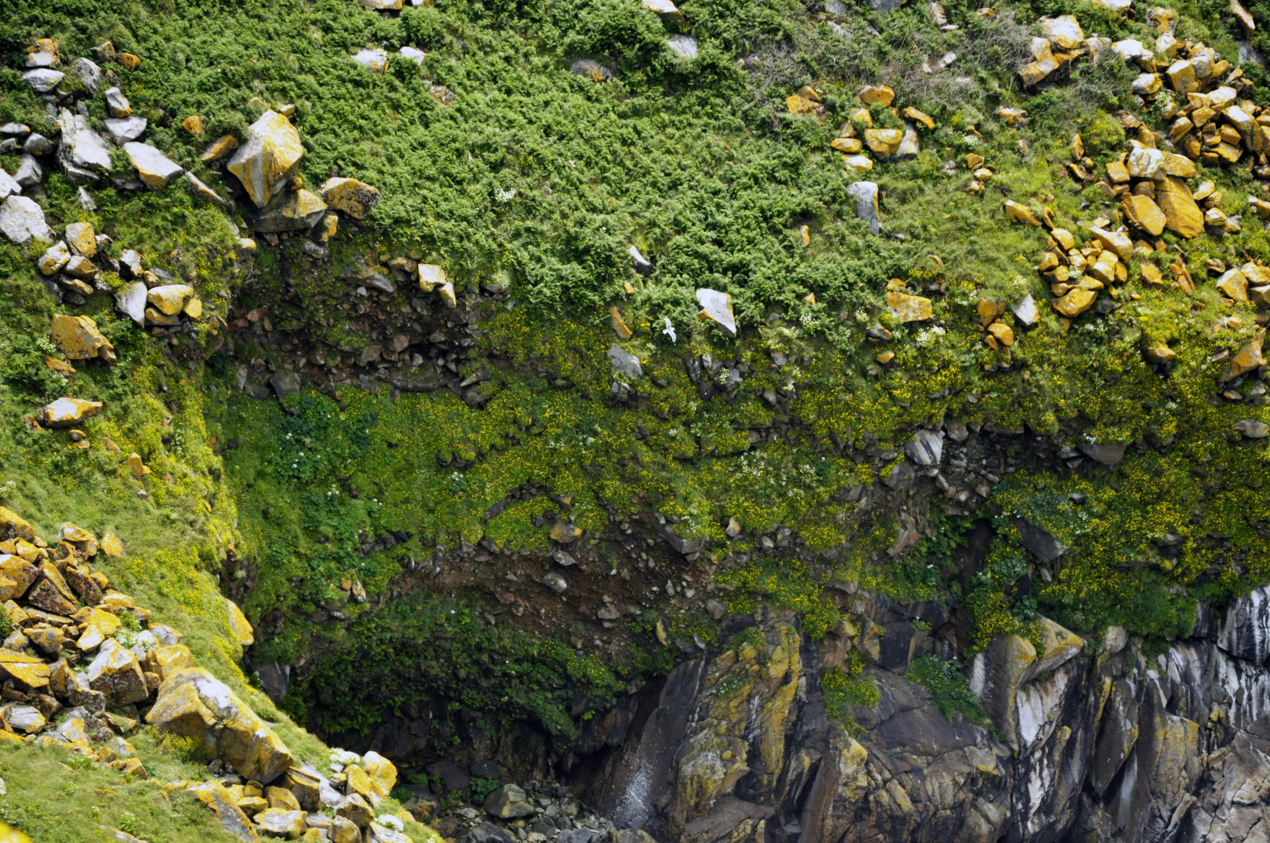 Photo by balbona_andrea