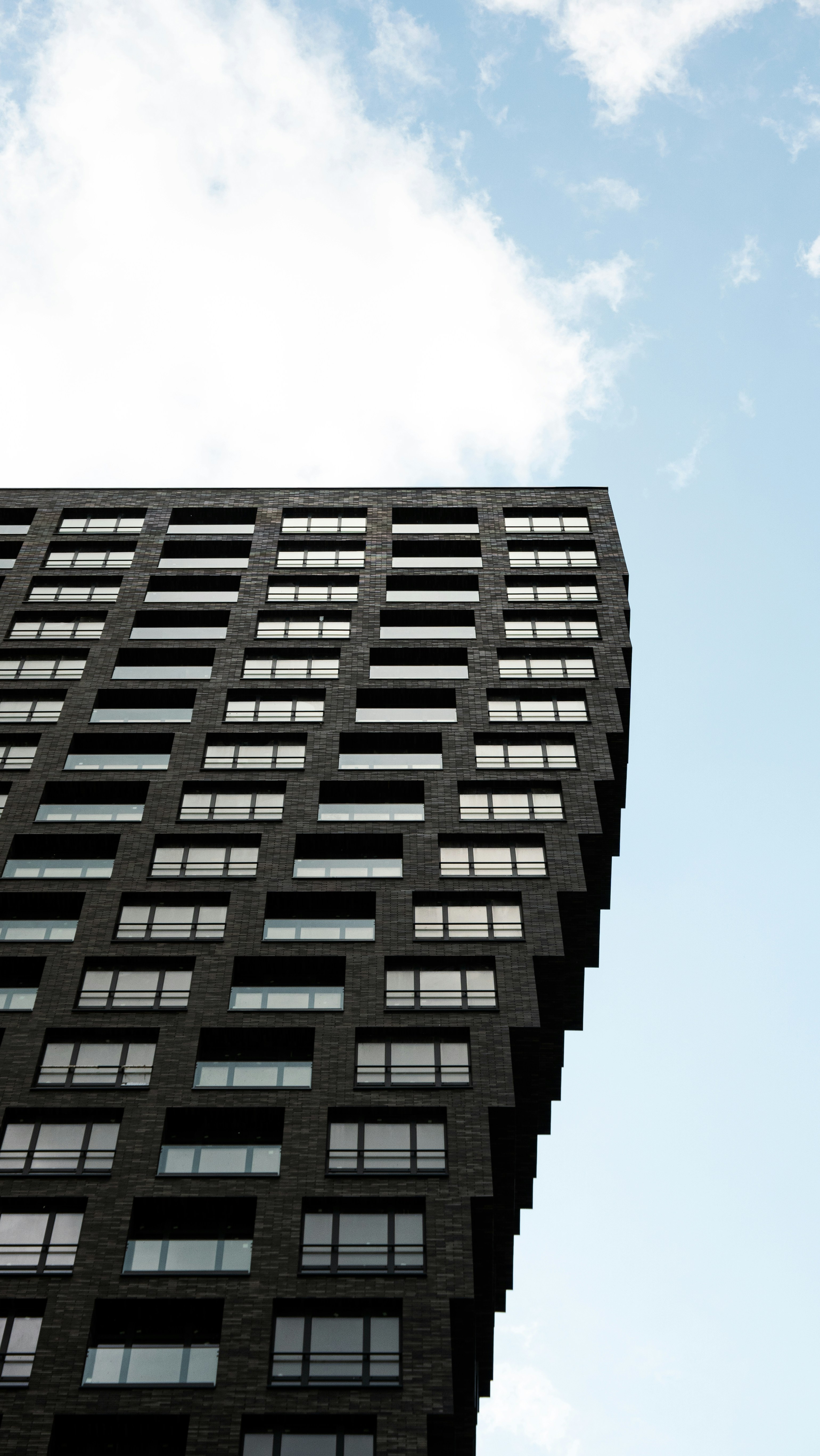 Photo by genius_loci