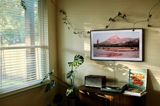A picture hanging on a wall next to a window