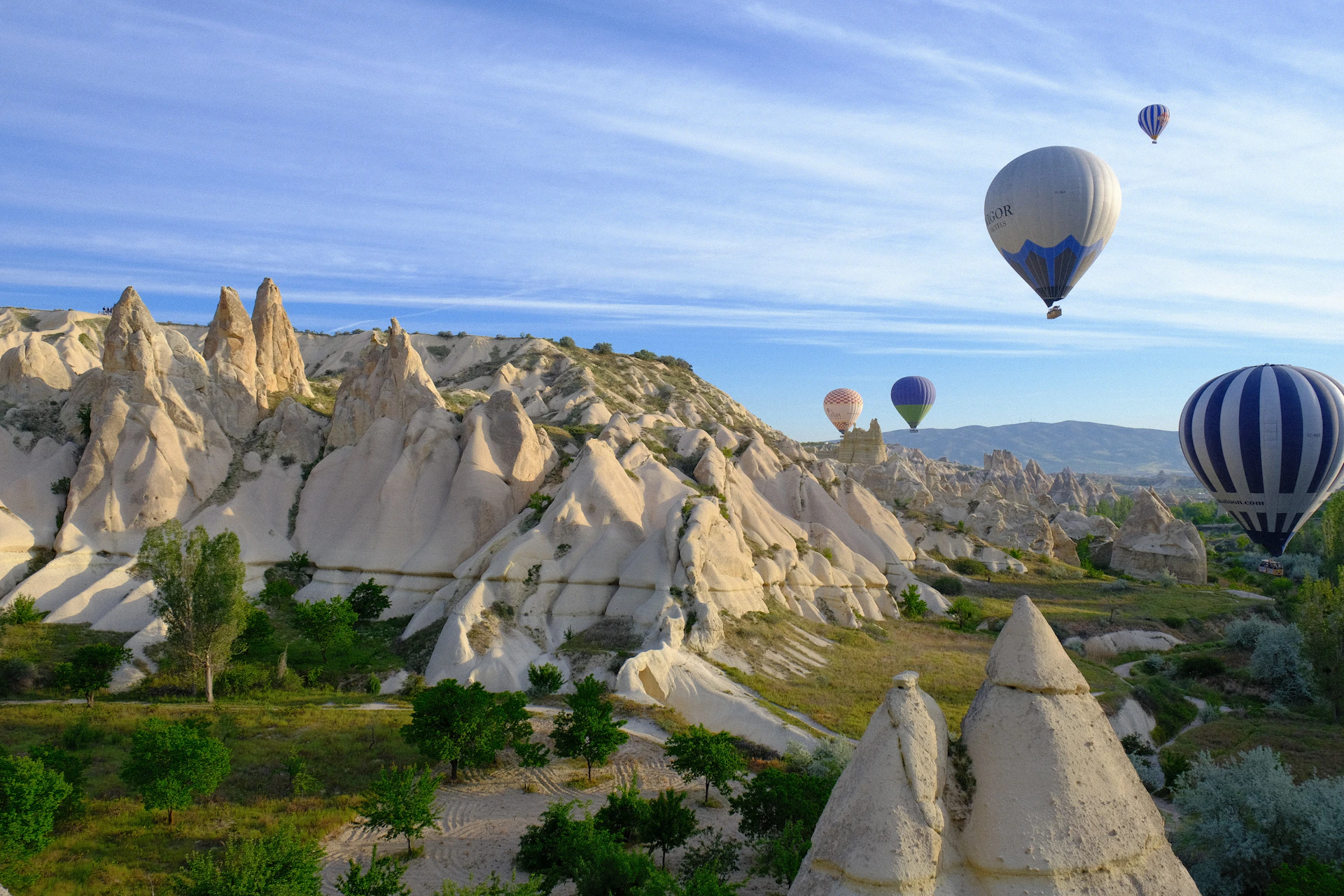 A group of hot air balloons flying over a valley
