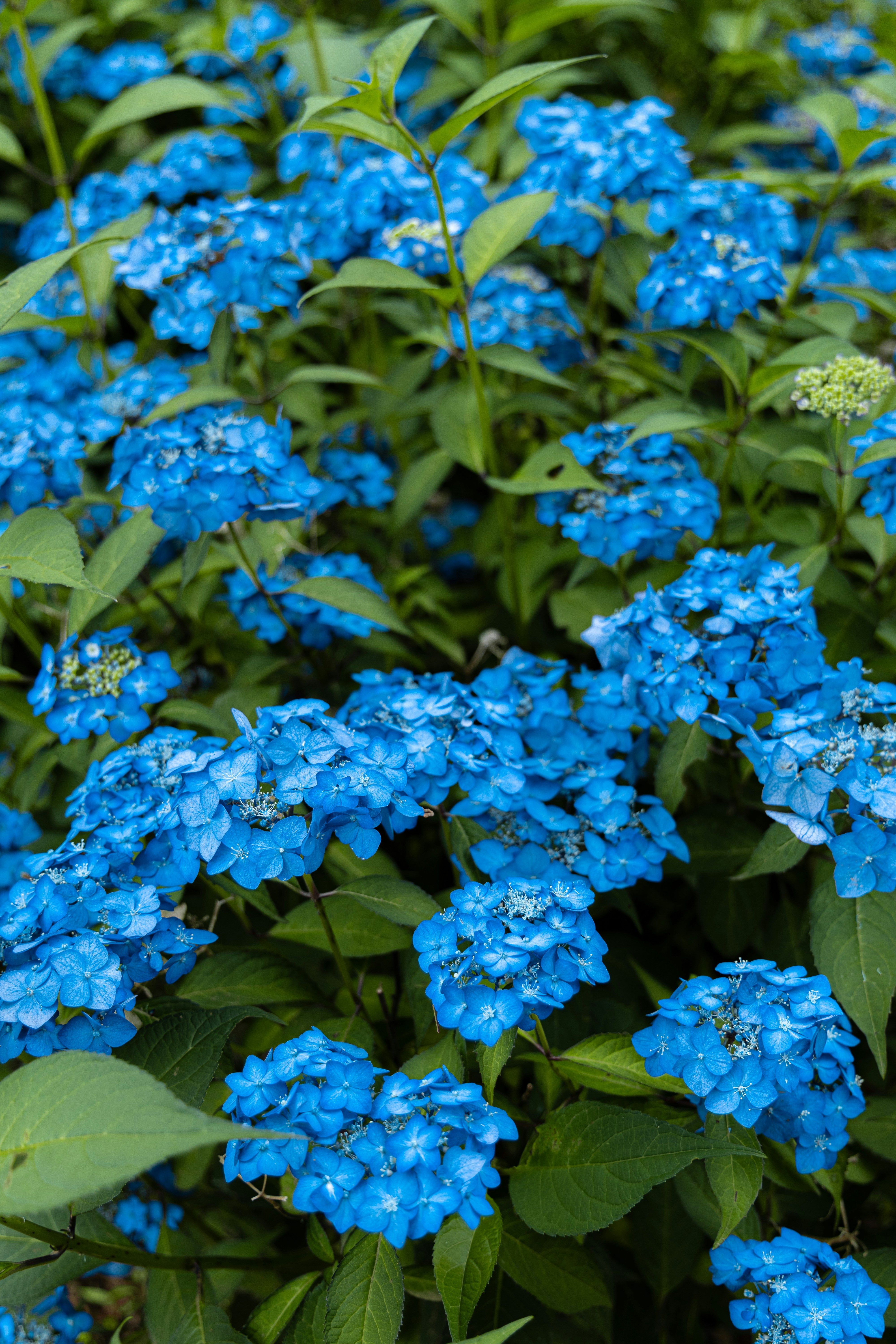 Photo by parkseongjin