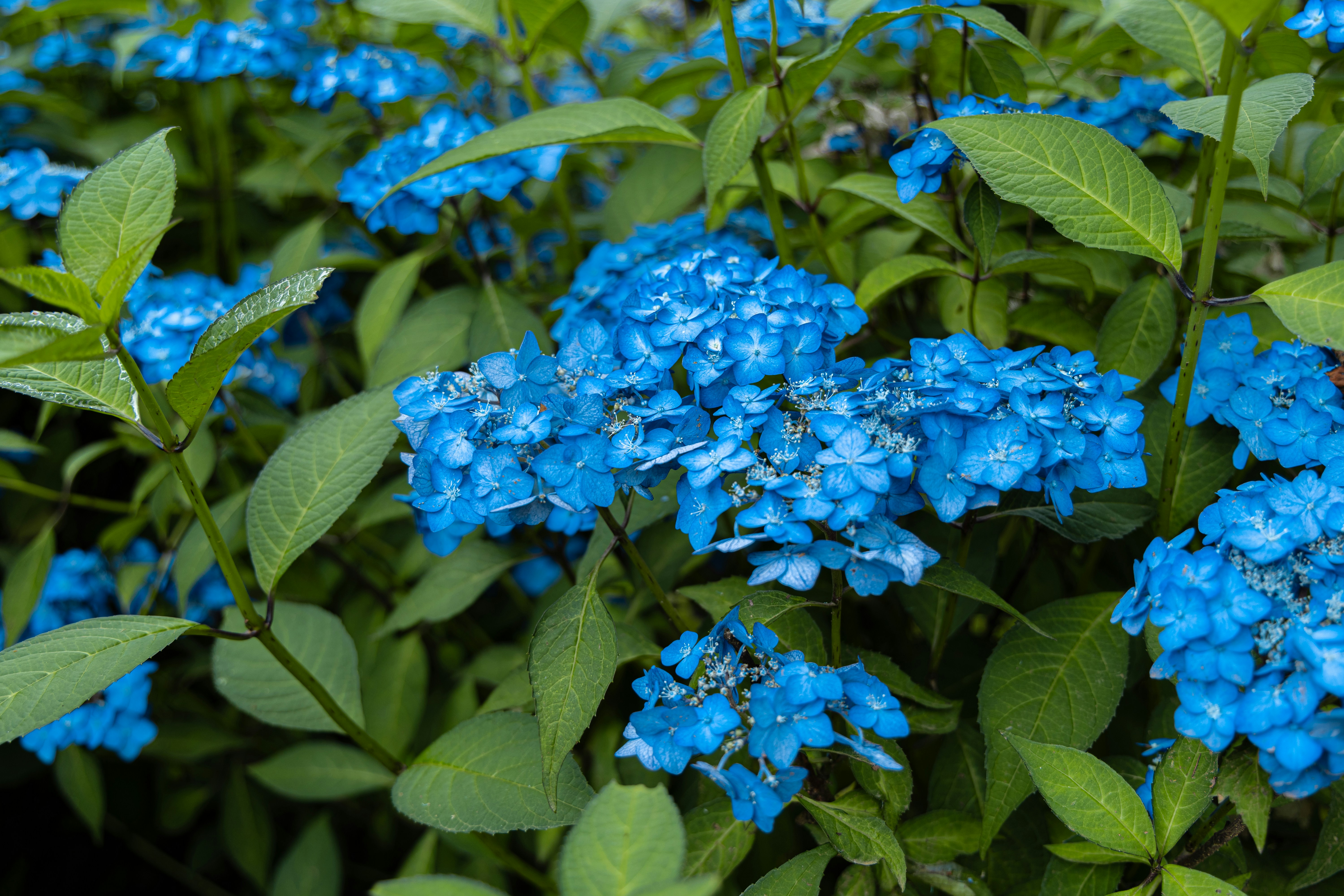 Photo by parkseongjin