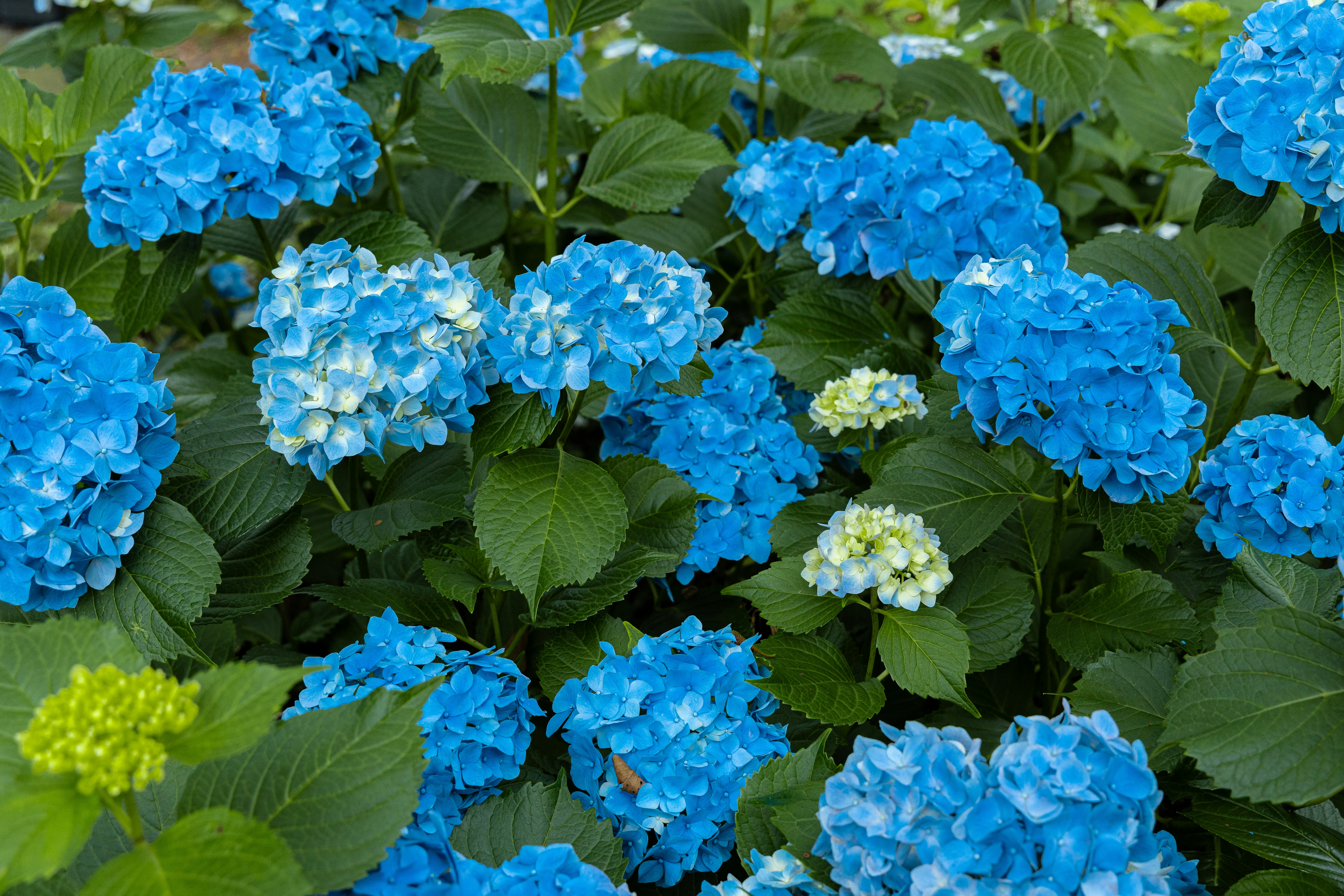 Photo by parkseongjin