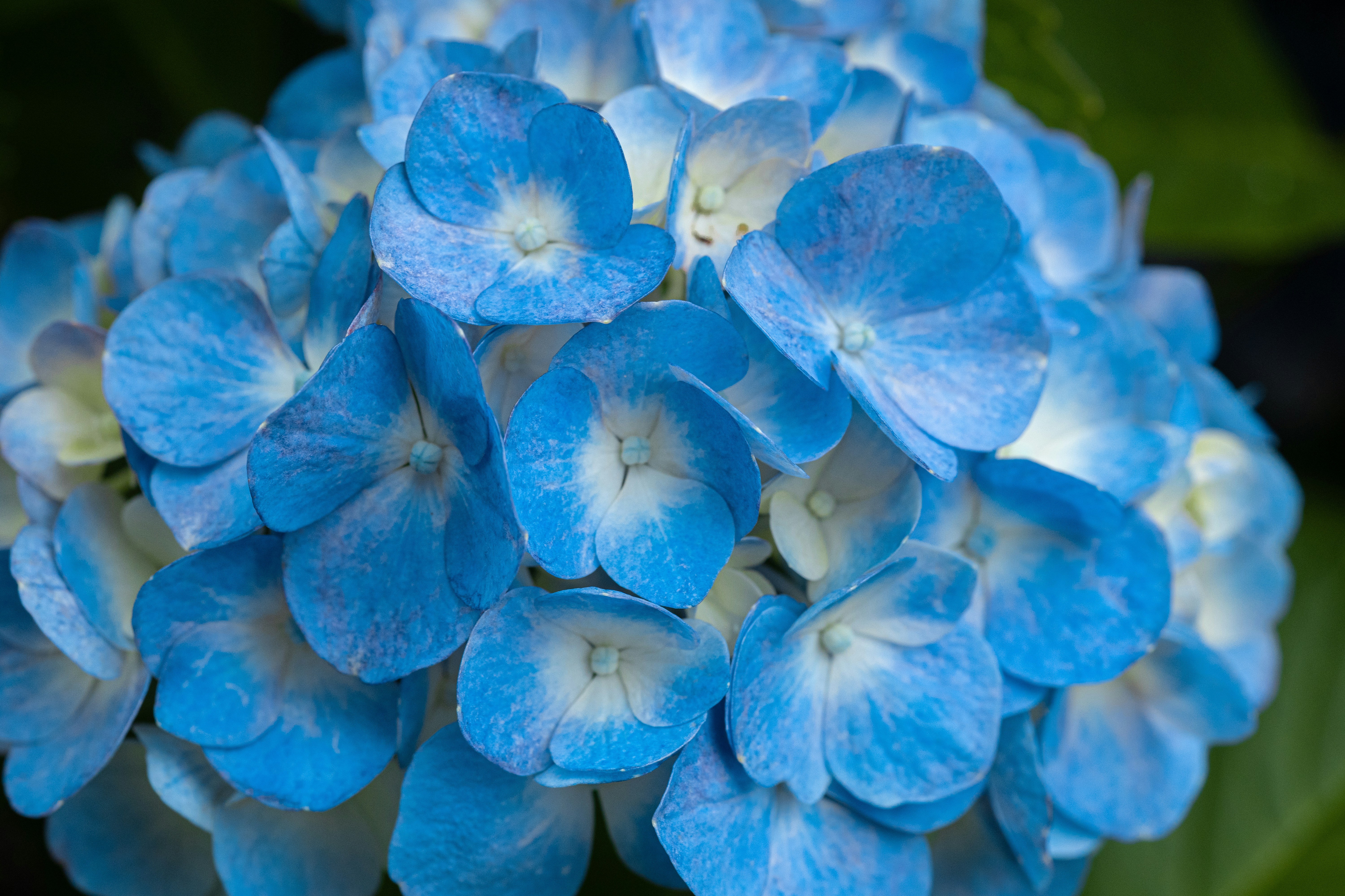 Photo by parkseongjin