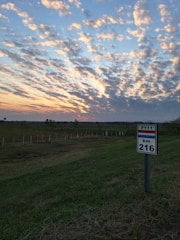 A street sign sitting on the side of a road