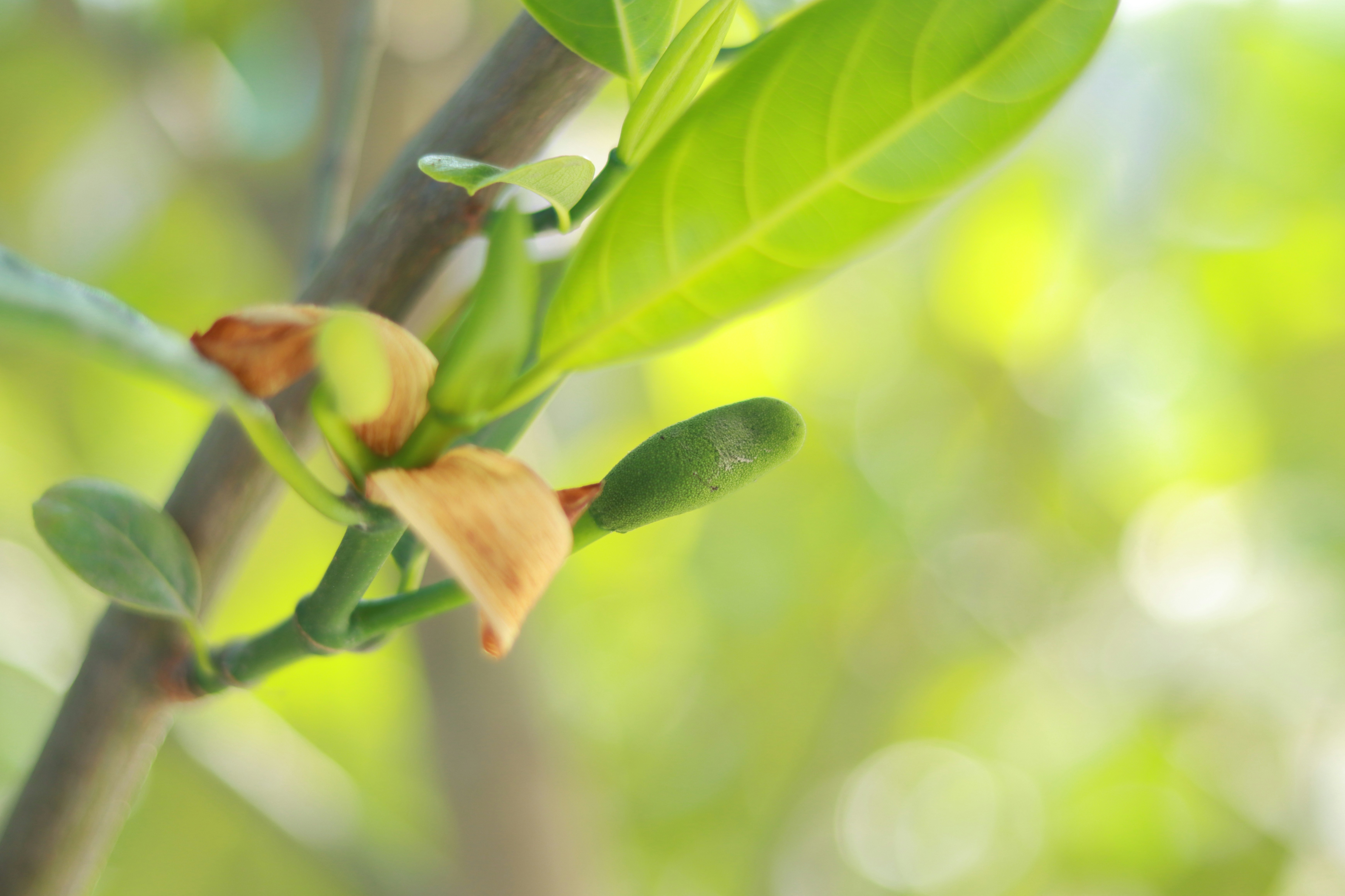 Photo by rejaul_creativedesign