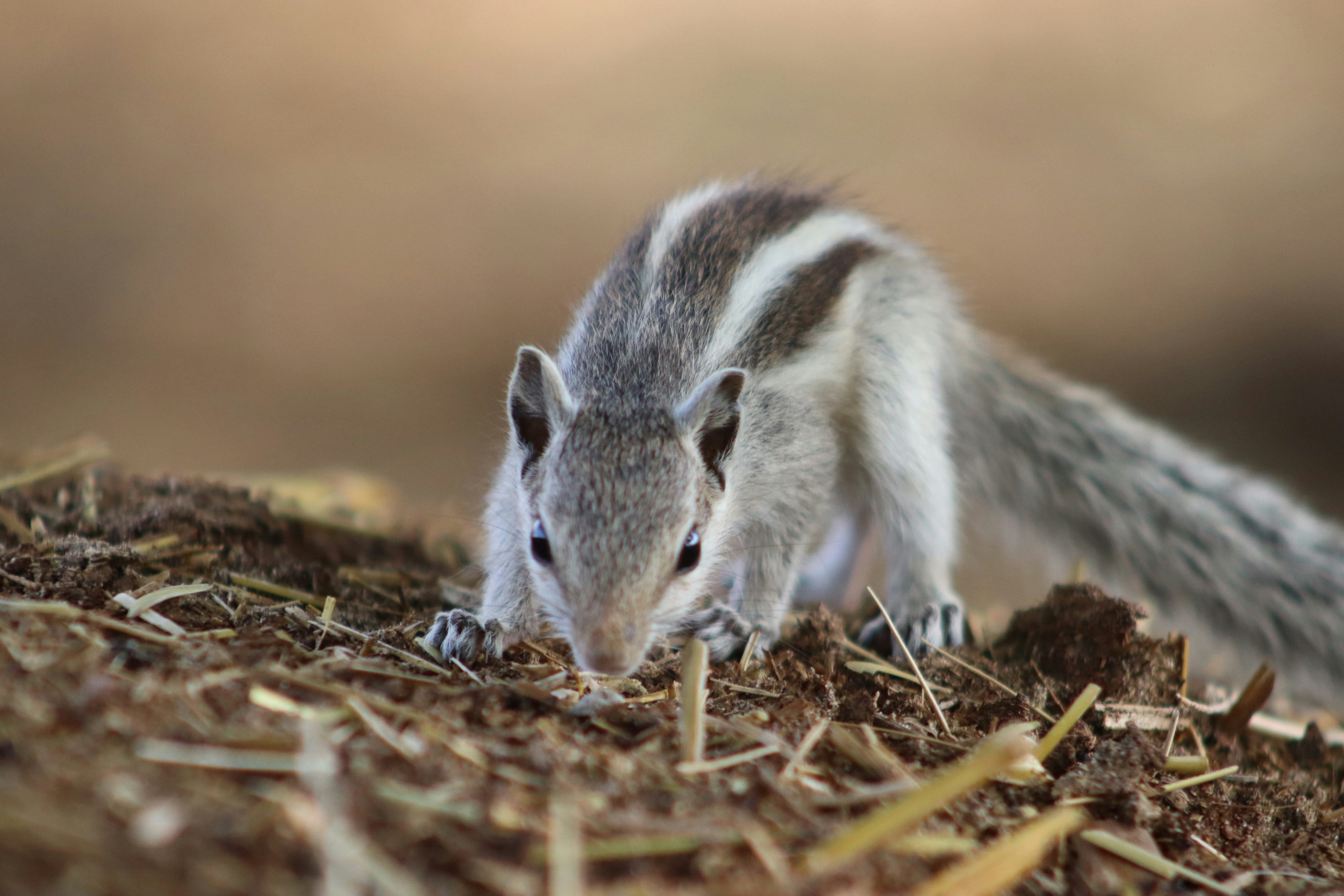 Photo by drphotographer152