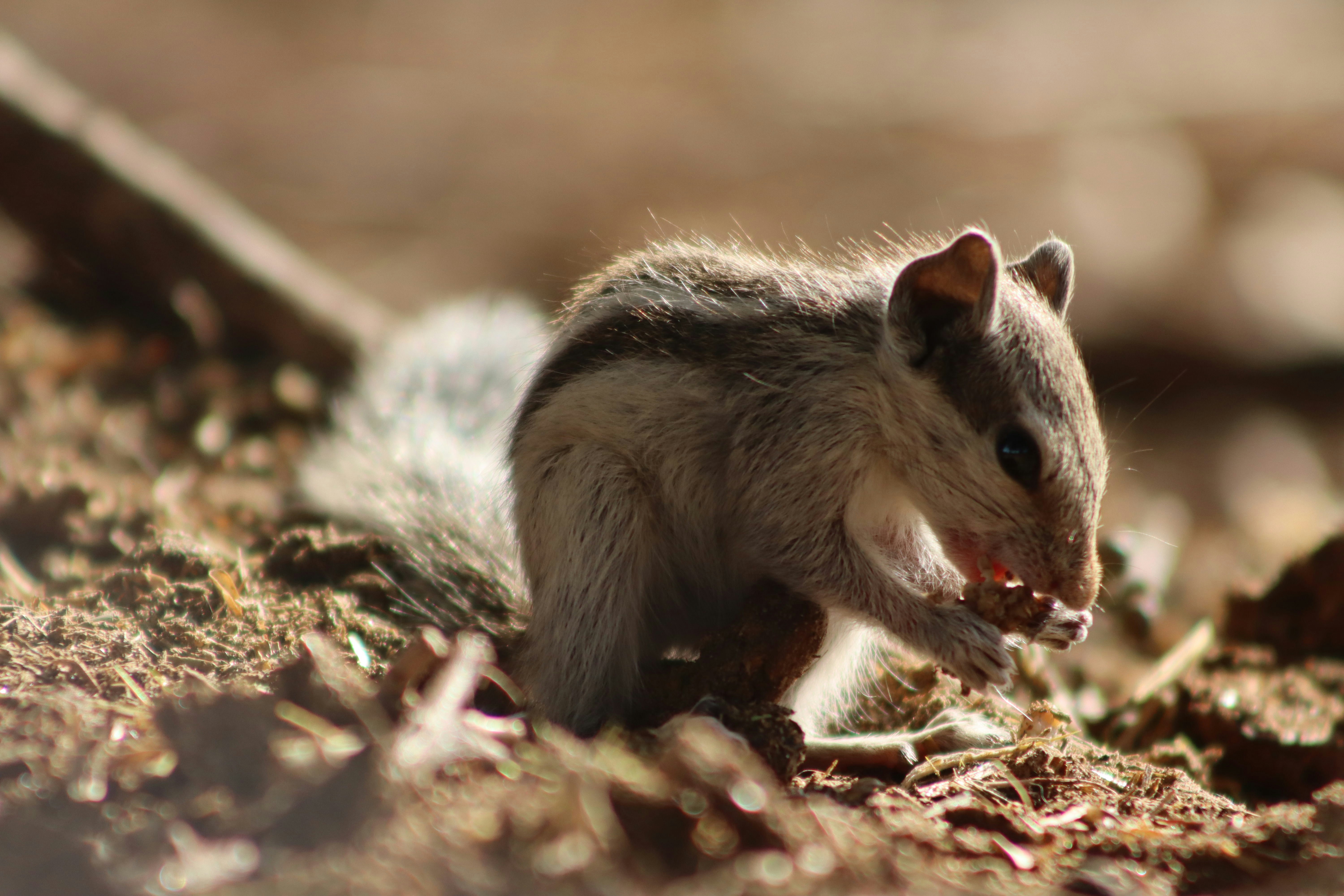 Photo by drphotographer152