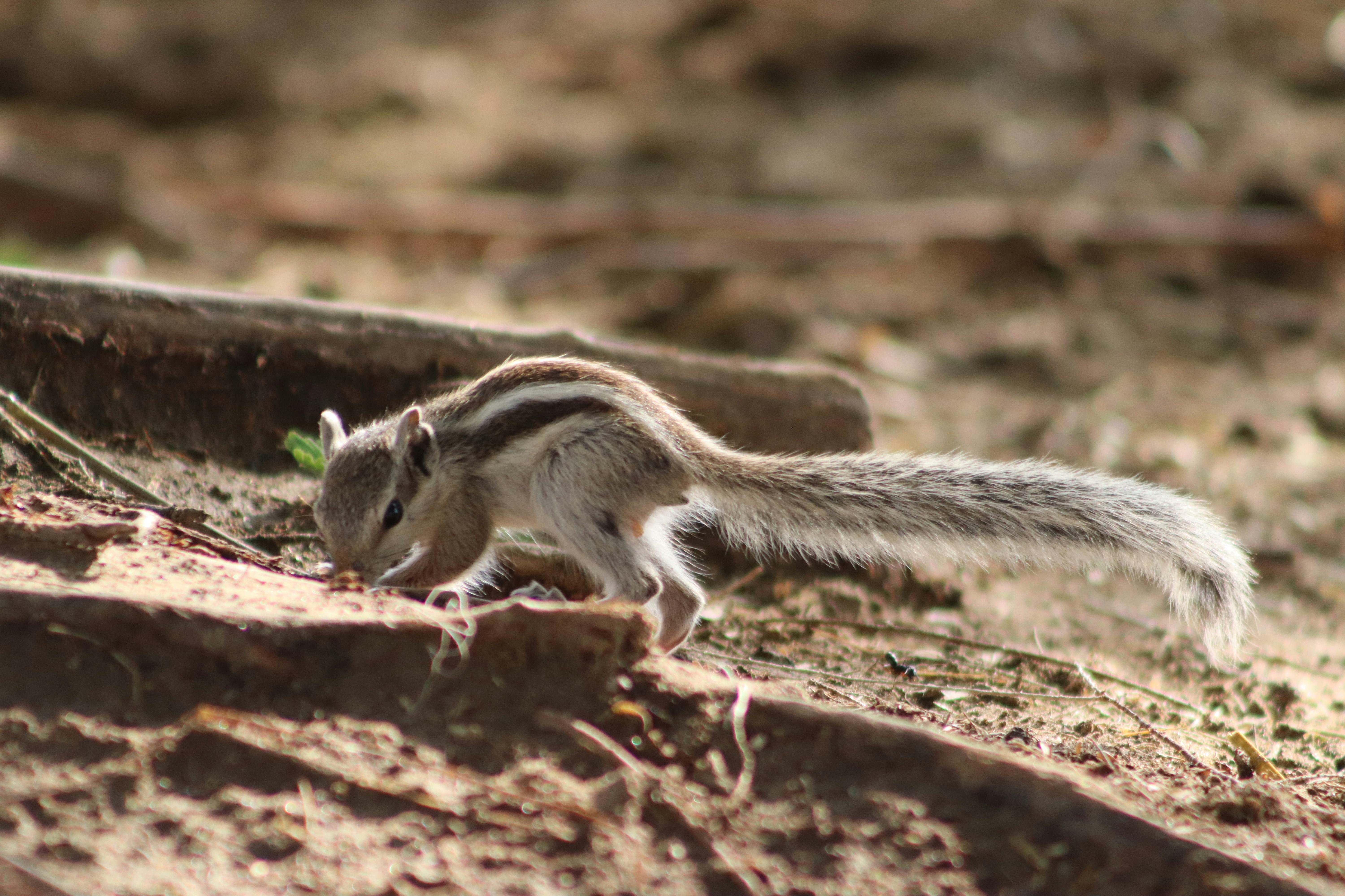 Photo by drphotographer152