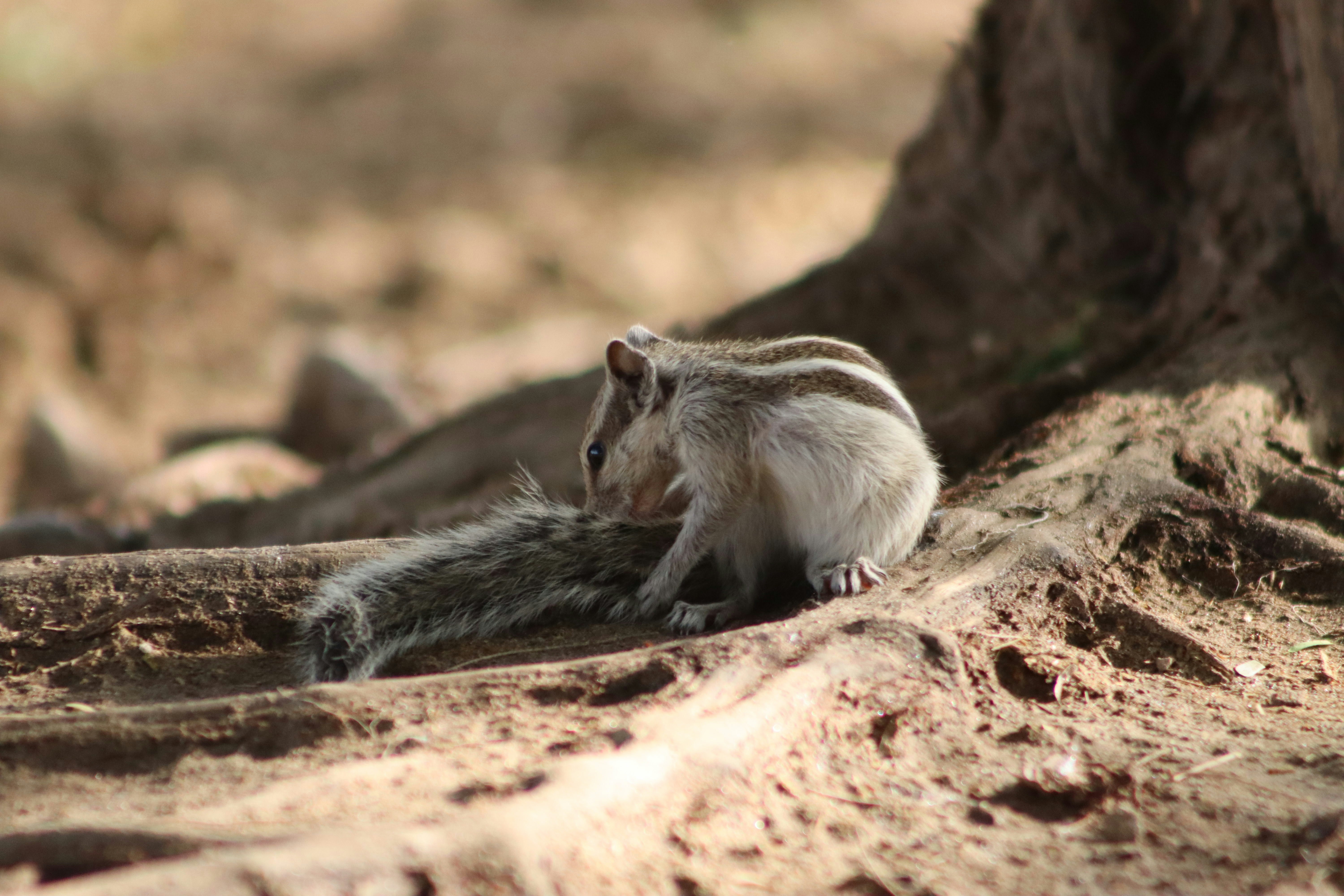 Photo by drphotographer152