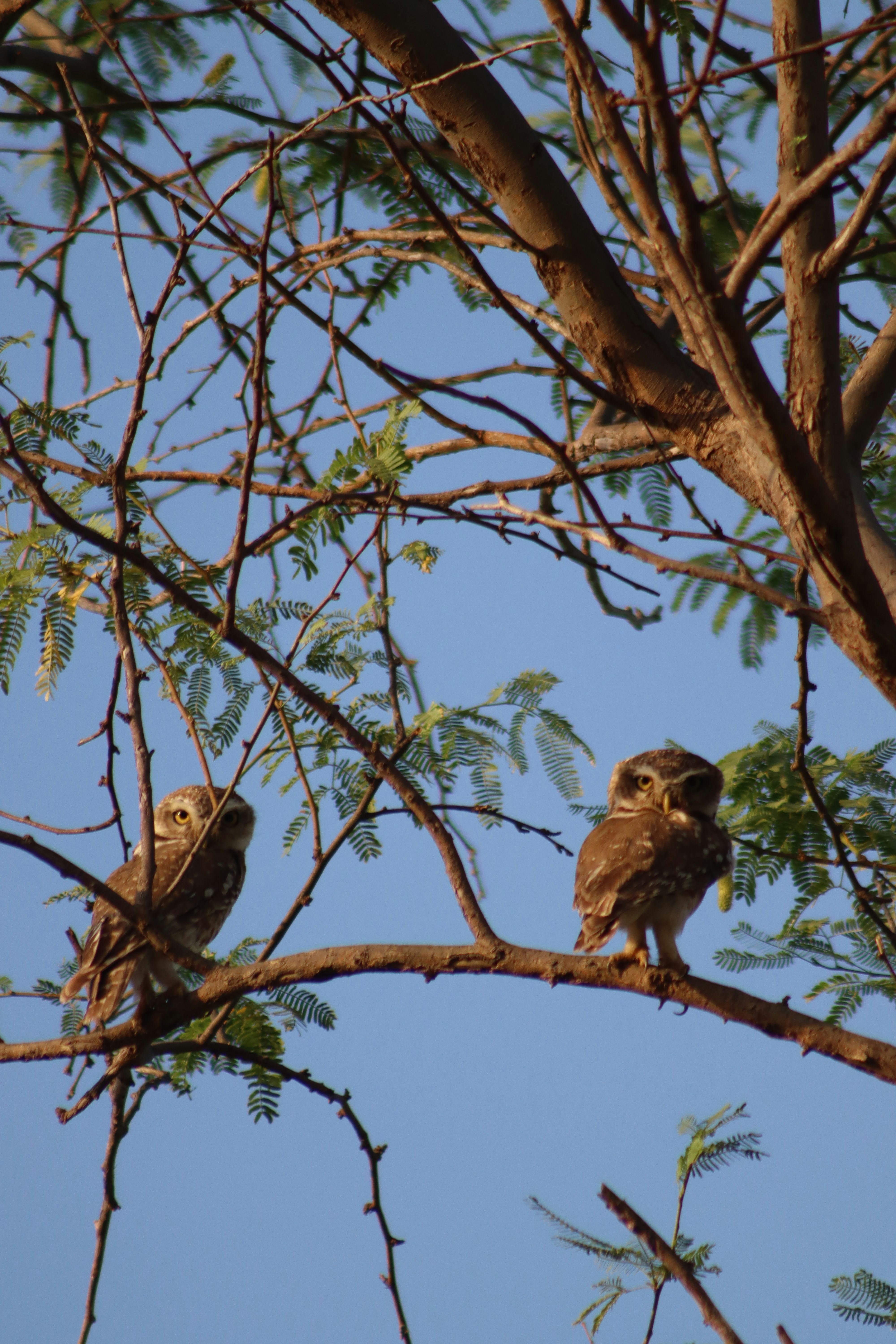 Photo by drphotographer152