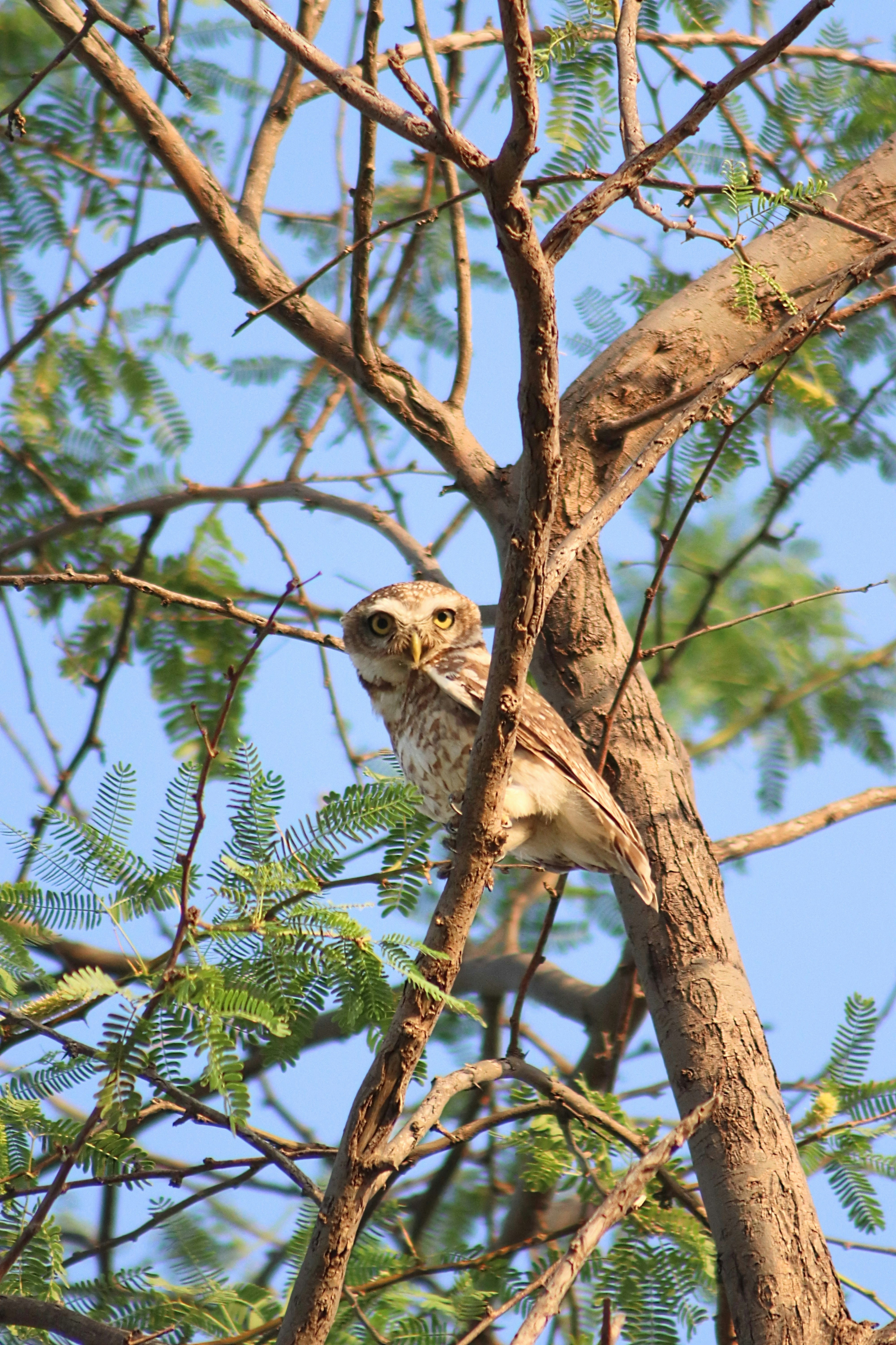 Photo by drphotographer152