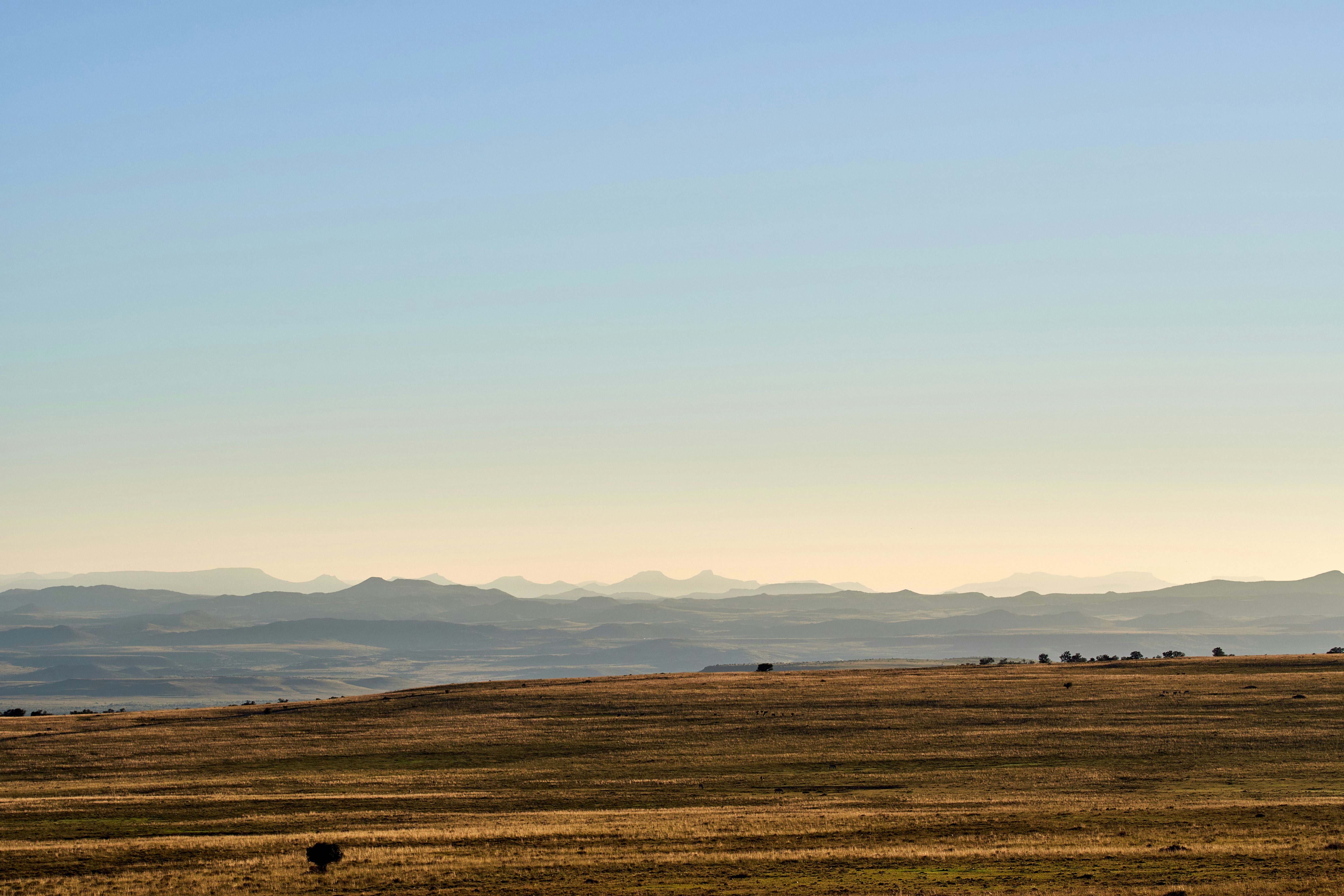 Photo by wolfgang_hasselmann