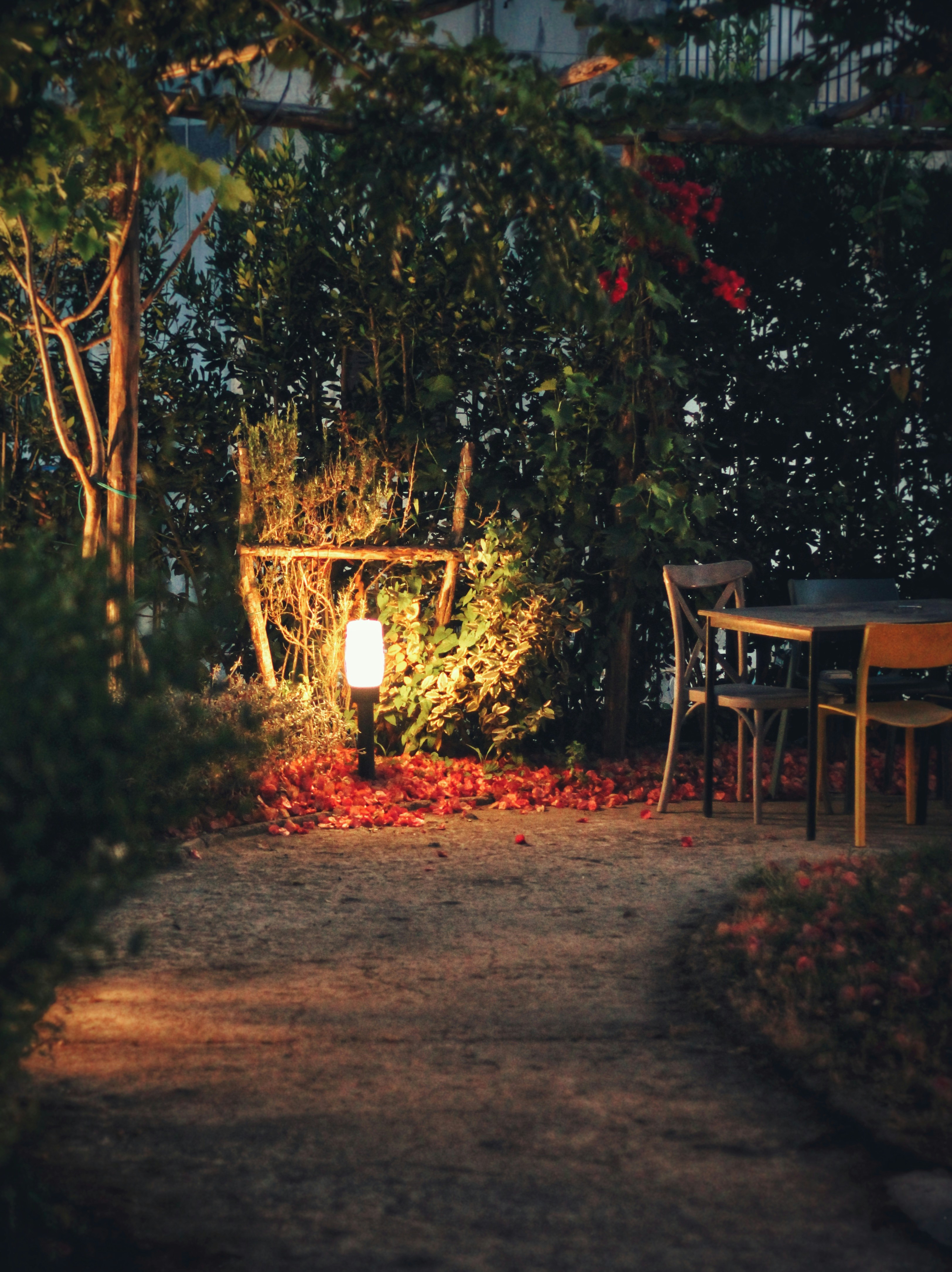 Photo by valeographia