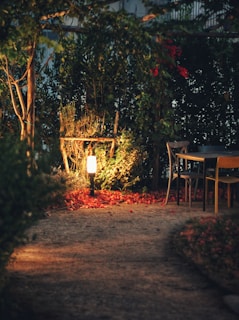 Пътна лампа, която осветява градинска маса, столове и околните храсти през нощта.